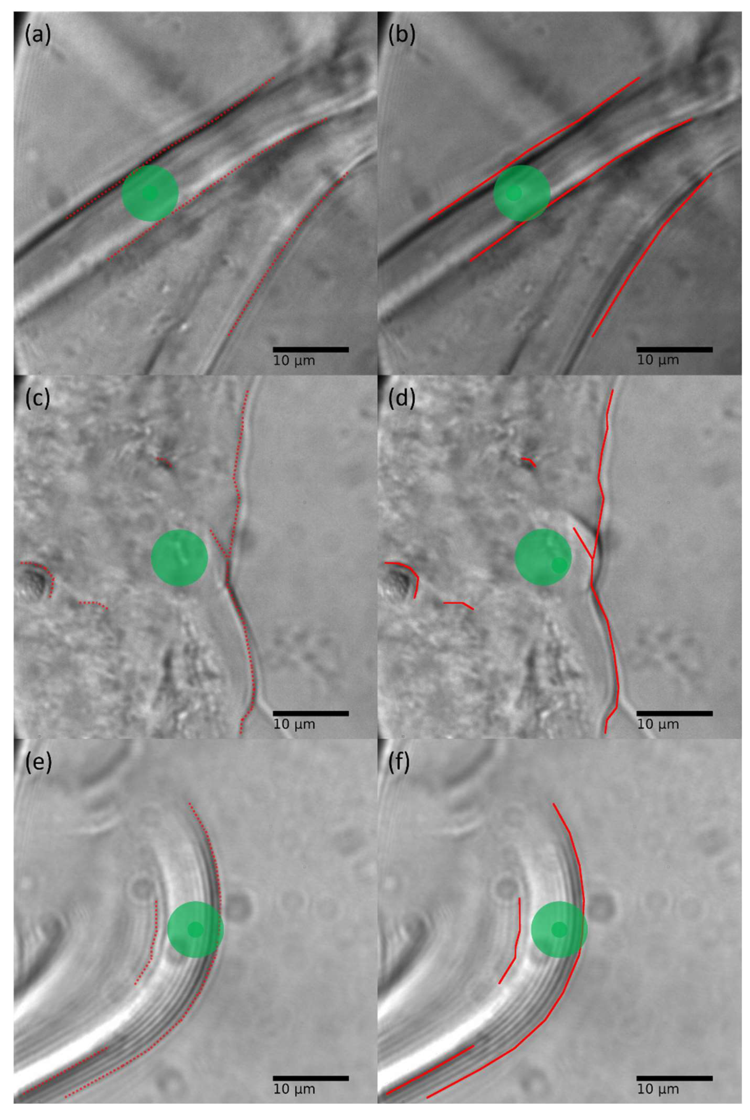Gels 08 00541 g003 550