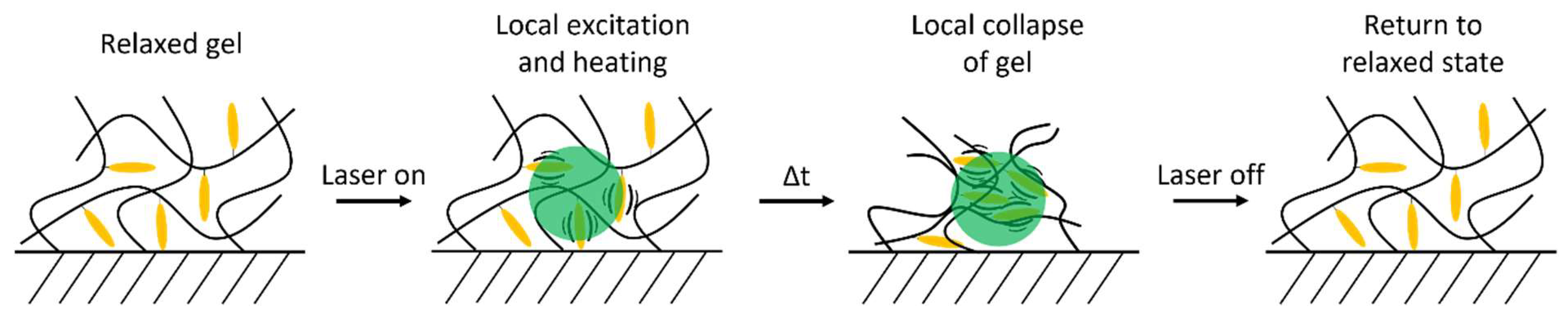 Gels 08 00541 sch001 550