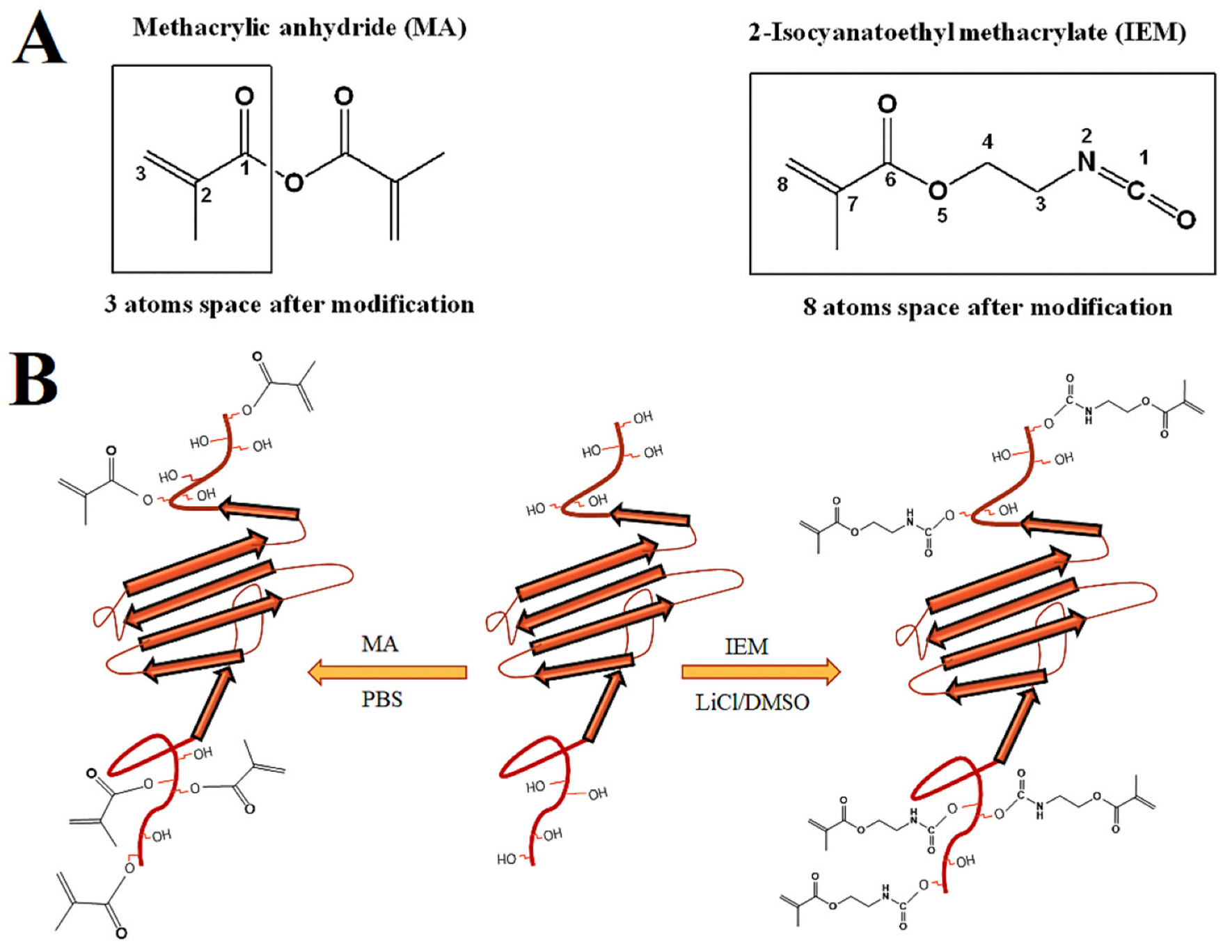 Gels 08 00543 g001 550