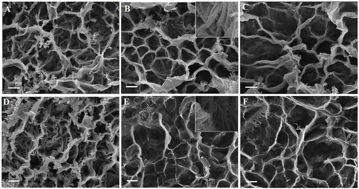 Gels 08 00543 g004 550