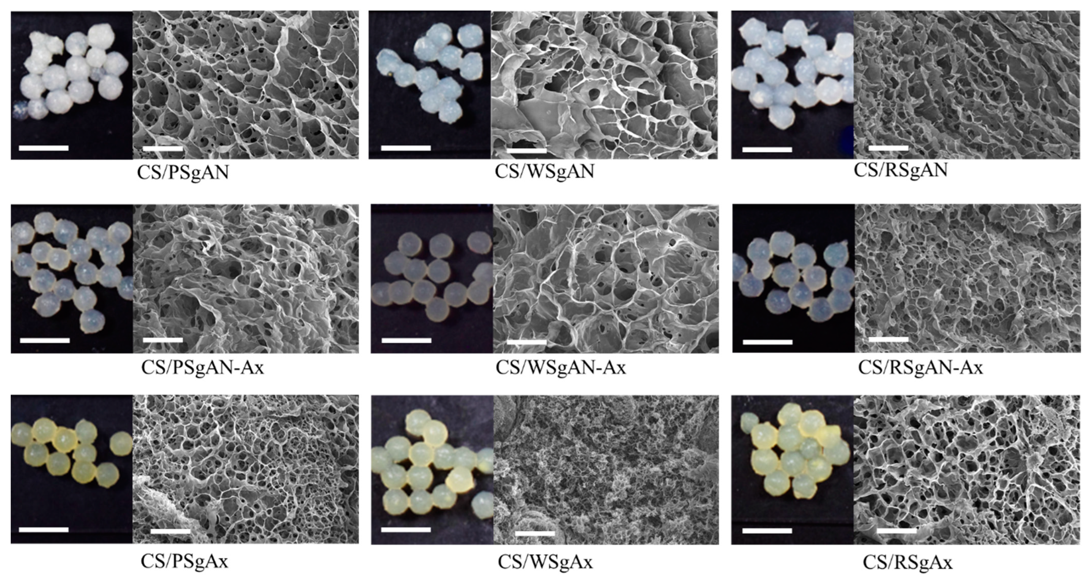 Gels 08 00549 g003 550