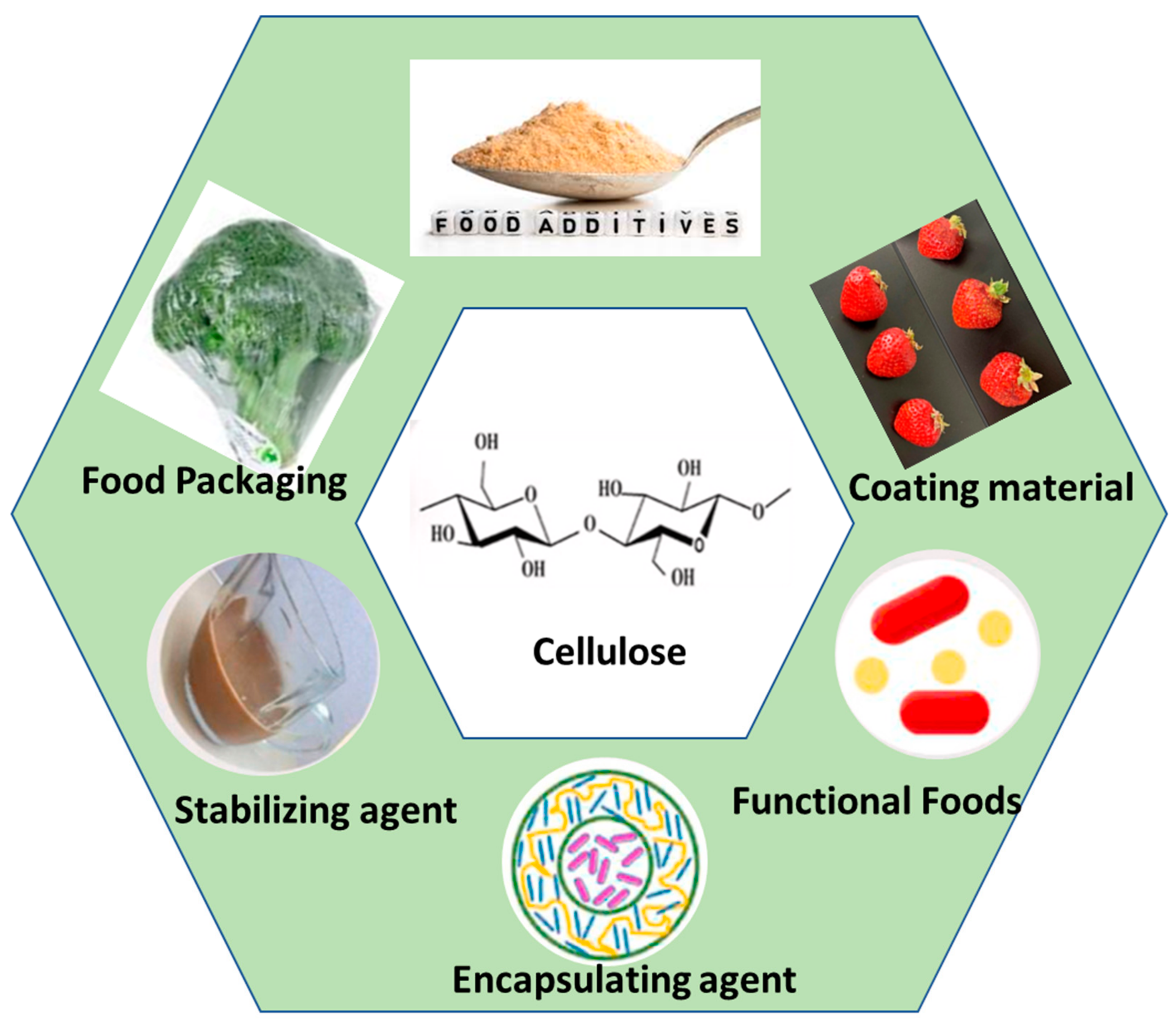 Gels | Free Full-Text | Cost-Effective Synthesis of Bacterial Cellulose and  Its Applications in the Food and Environmental Sectors