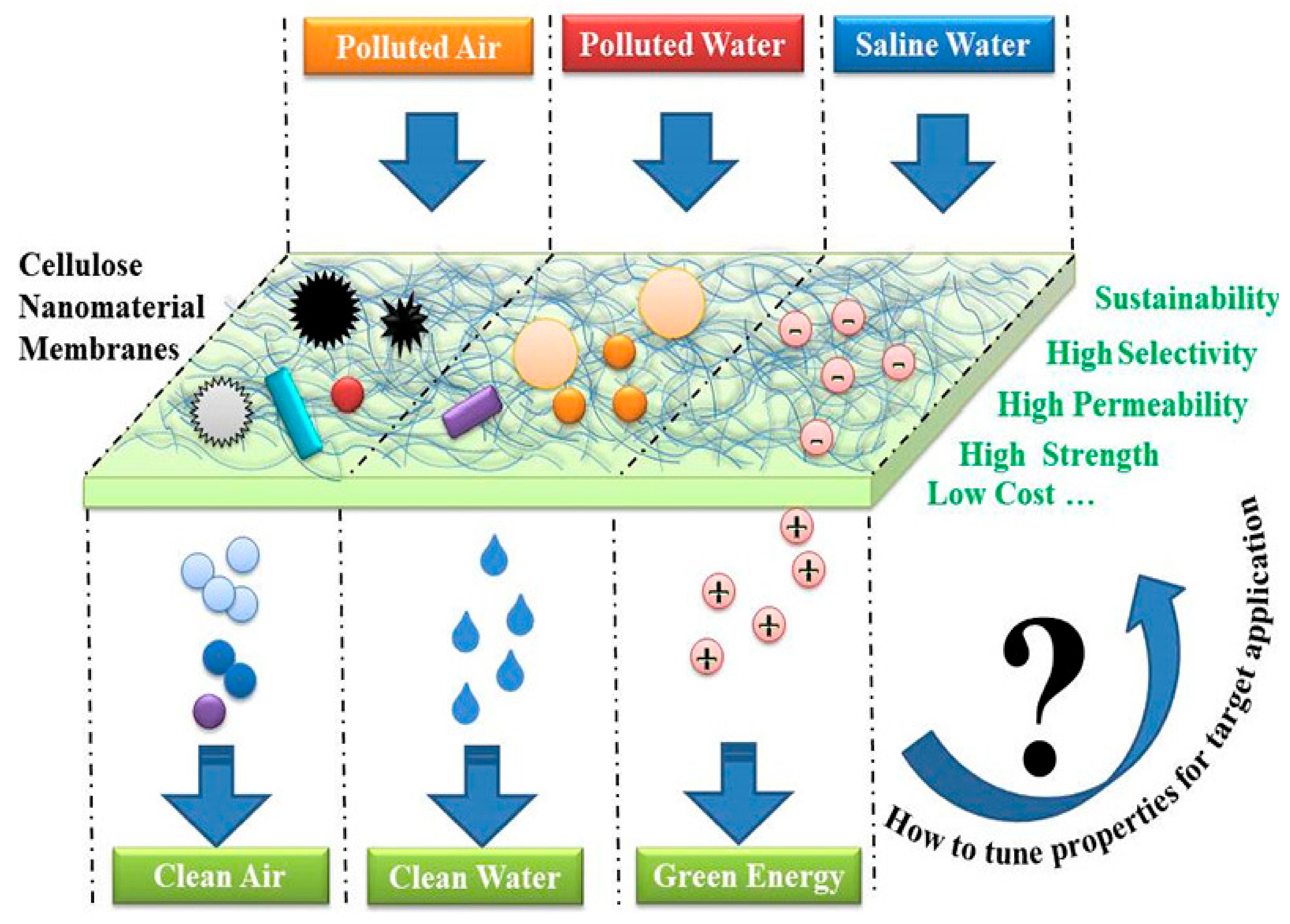 Gels 08 00552 g004 Gels 08 00552 g004