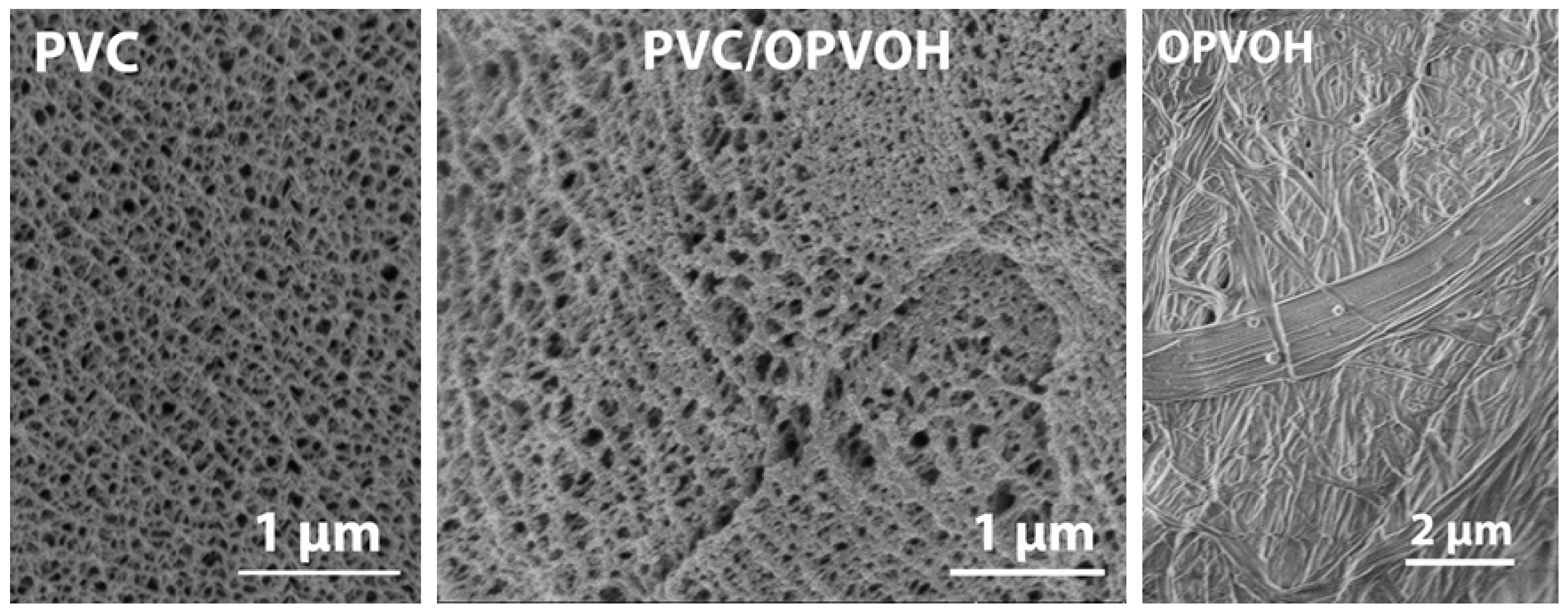 Gels 08 00557 g001 Gels 08 00557 g001