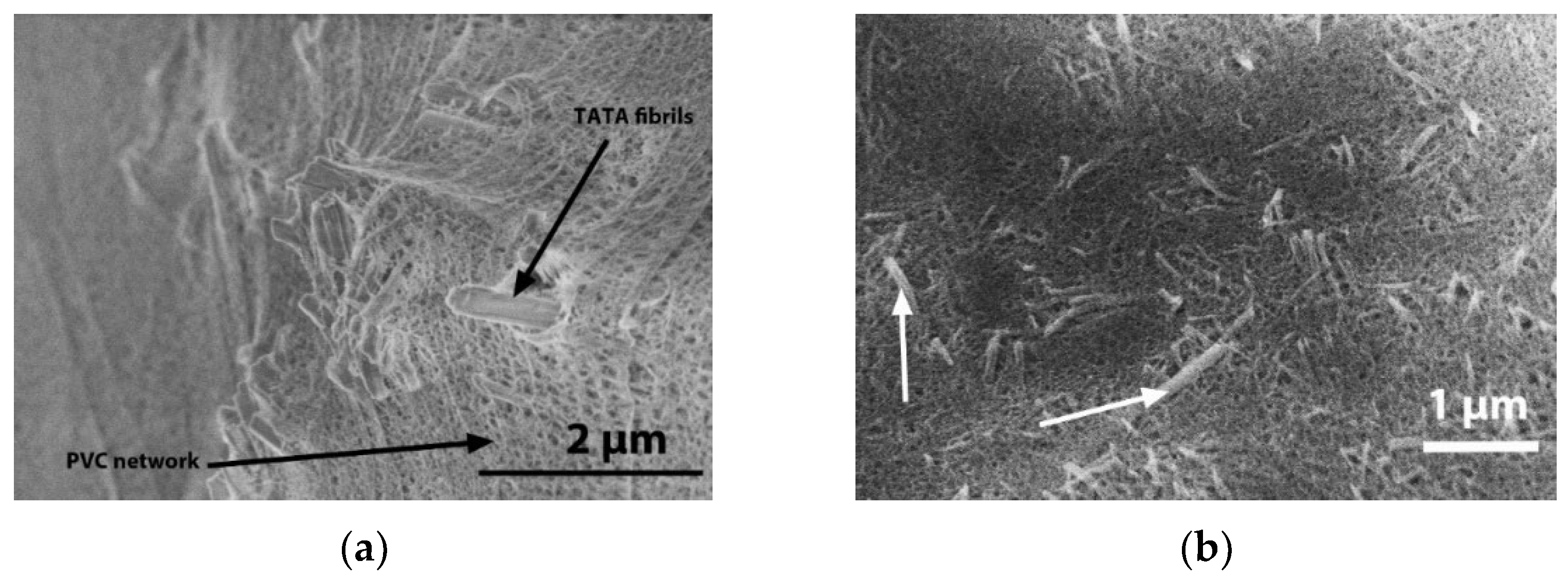 Gels 08 00557 g003 Gels 08 00557 g003