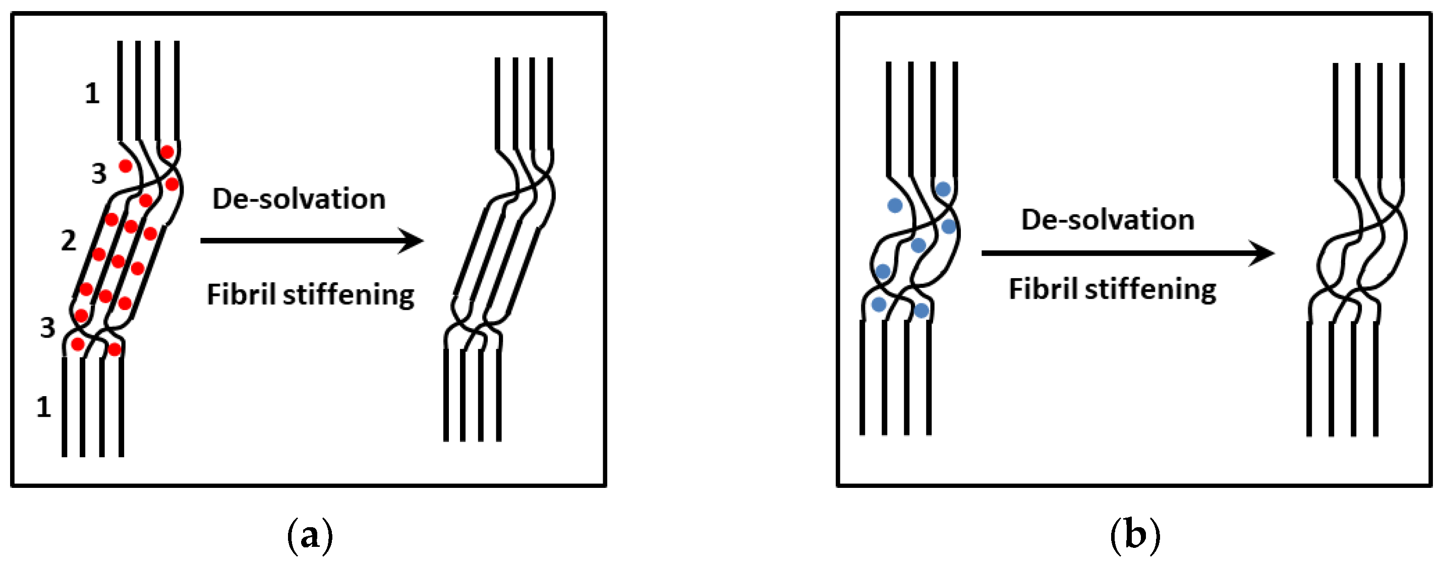 Gels 08 00557 g005 Gels 08 00557 g005