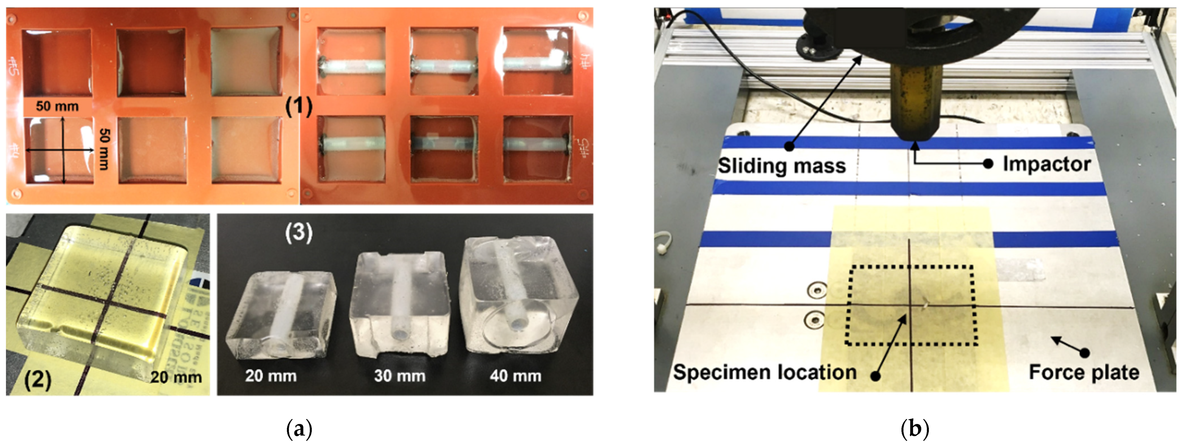 Gels 08 00559 g003 550