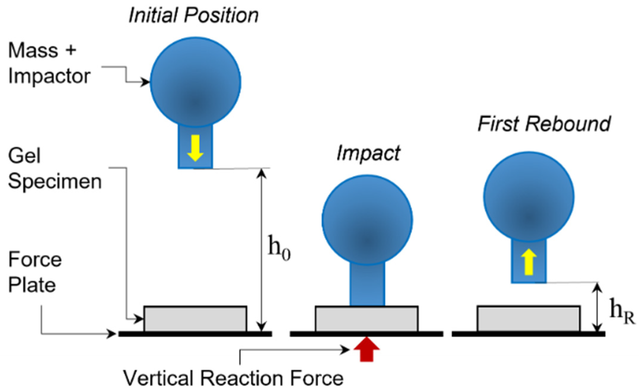 Gels 08 00559 g004 550