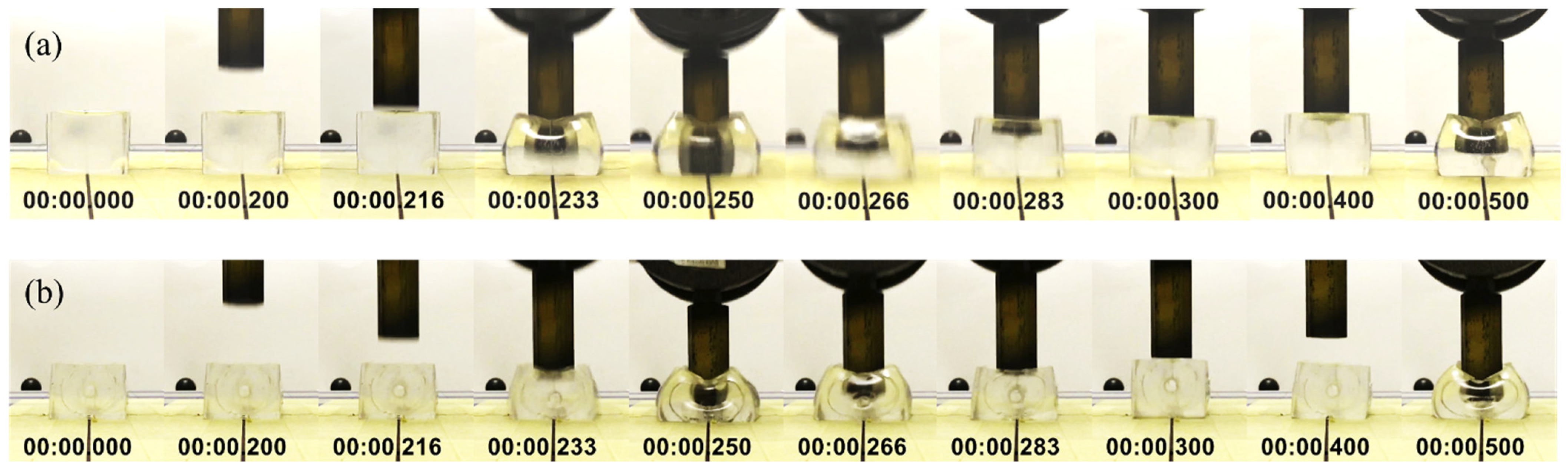 Gels 08 00559 g008 550