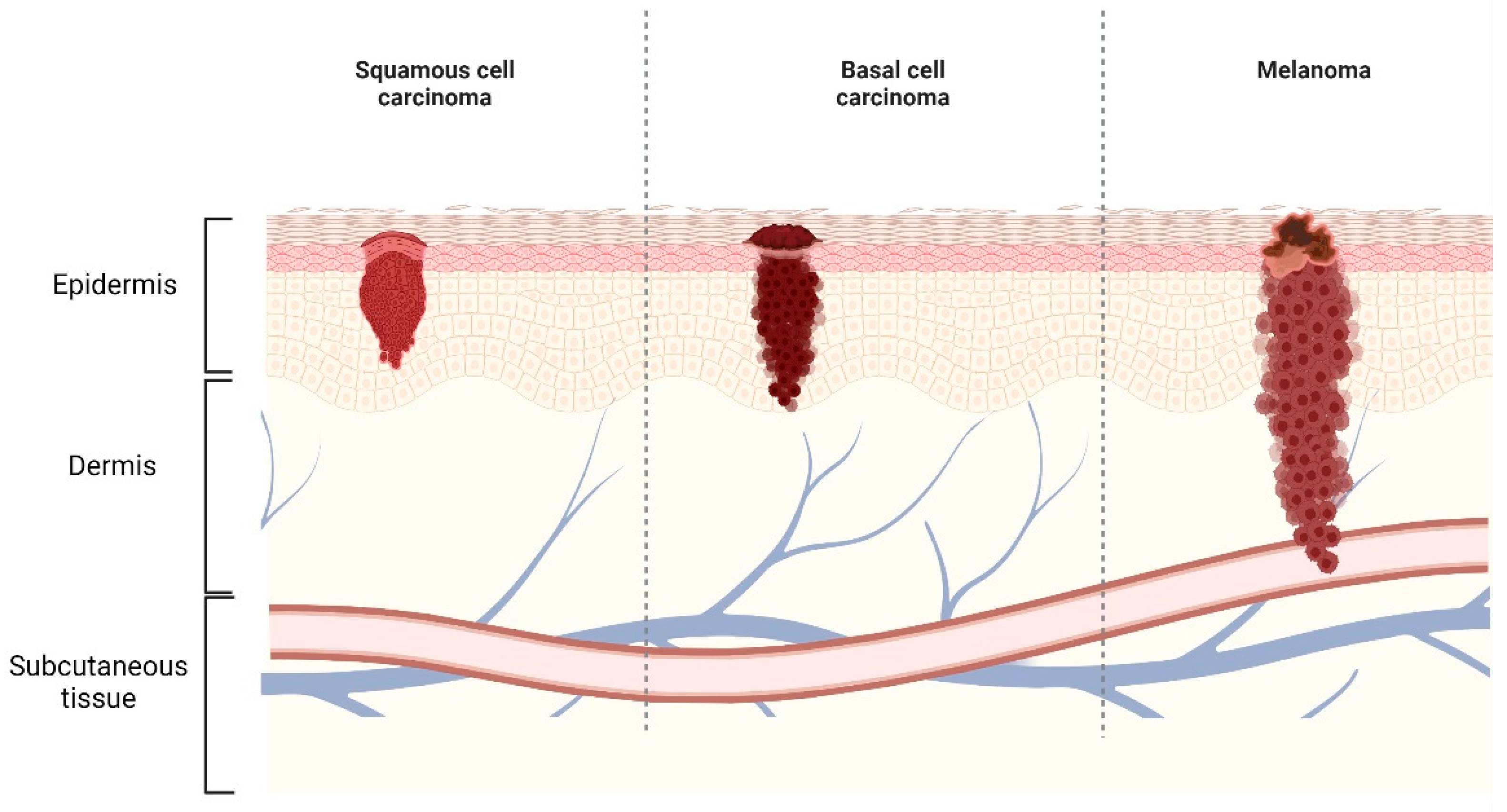 Gels 08 00560 g001 Gels 08 00560 g001