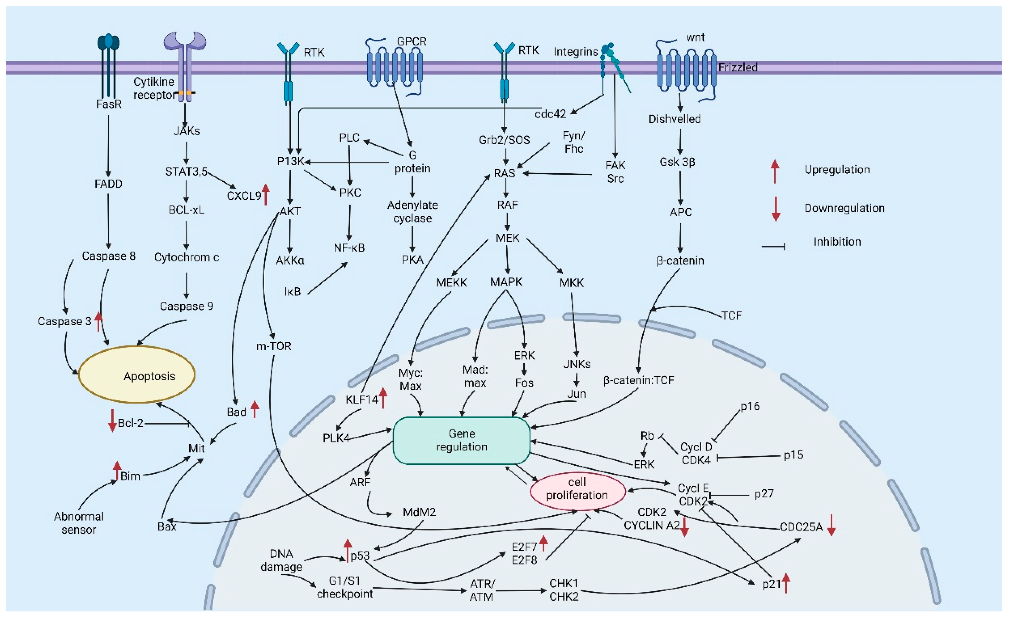 Gels 08 00560 g002 Gels 08 00560 g002