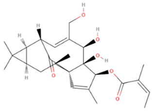 Gels 08 00560 i005 Gels 08 00560 i005
