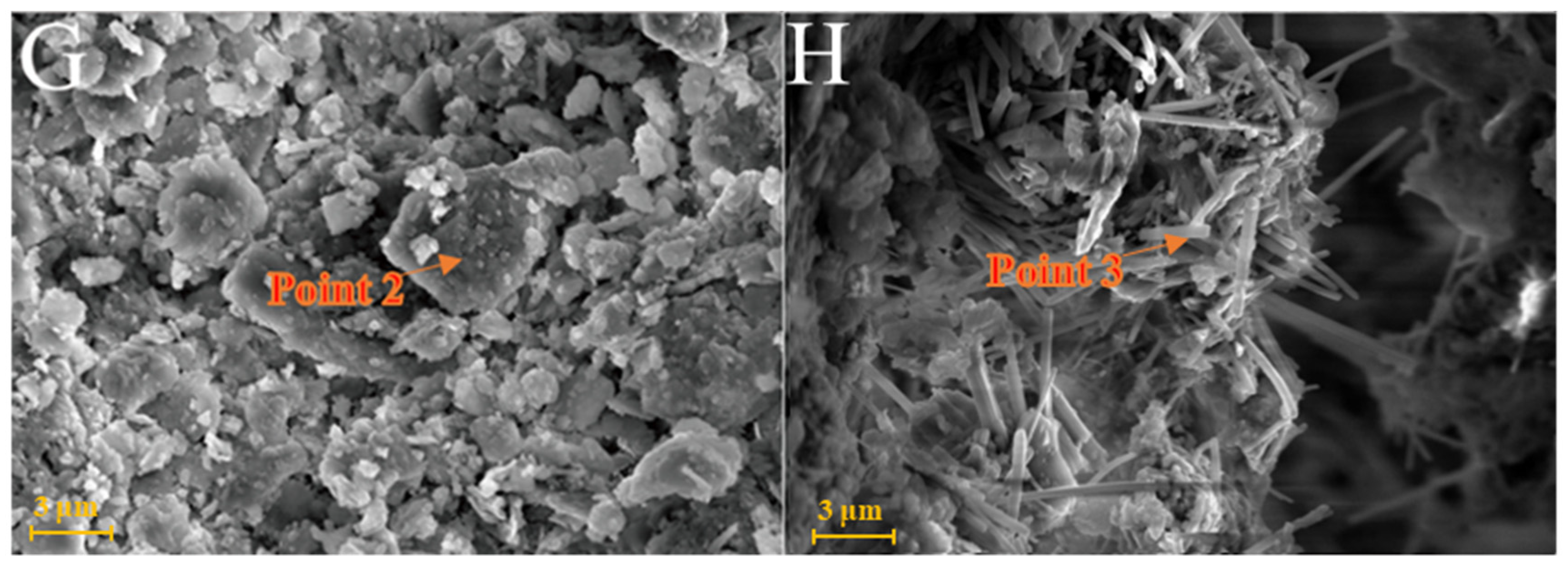 Gels 08 00564 g006b 550