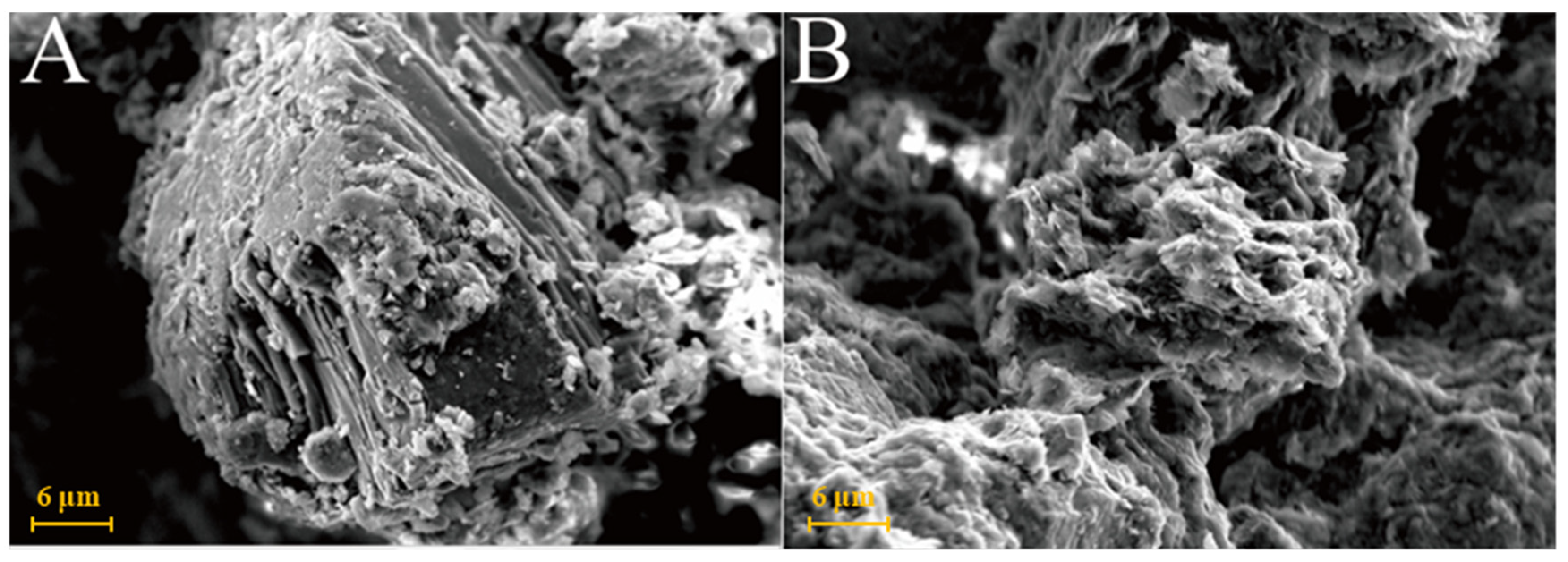 Gels 08 00564 g007a 550