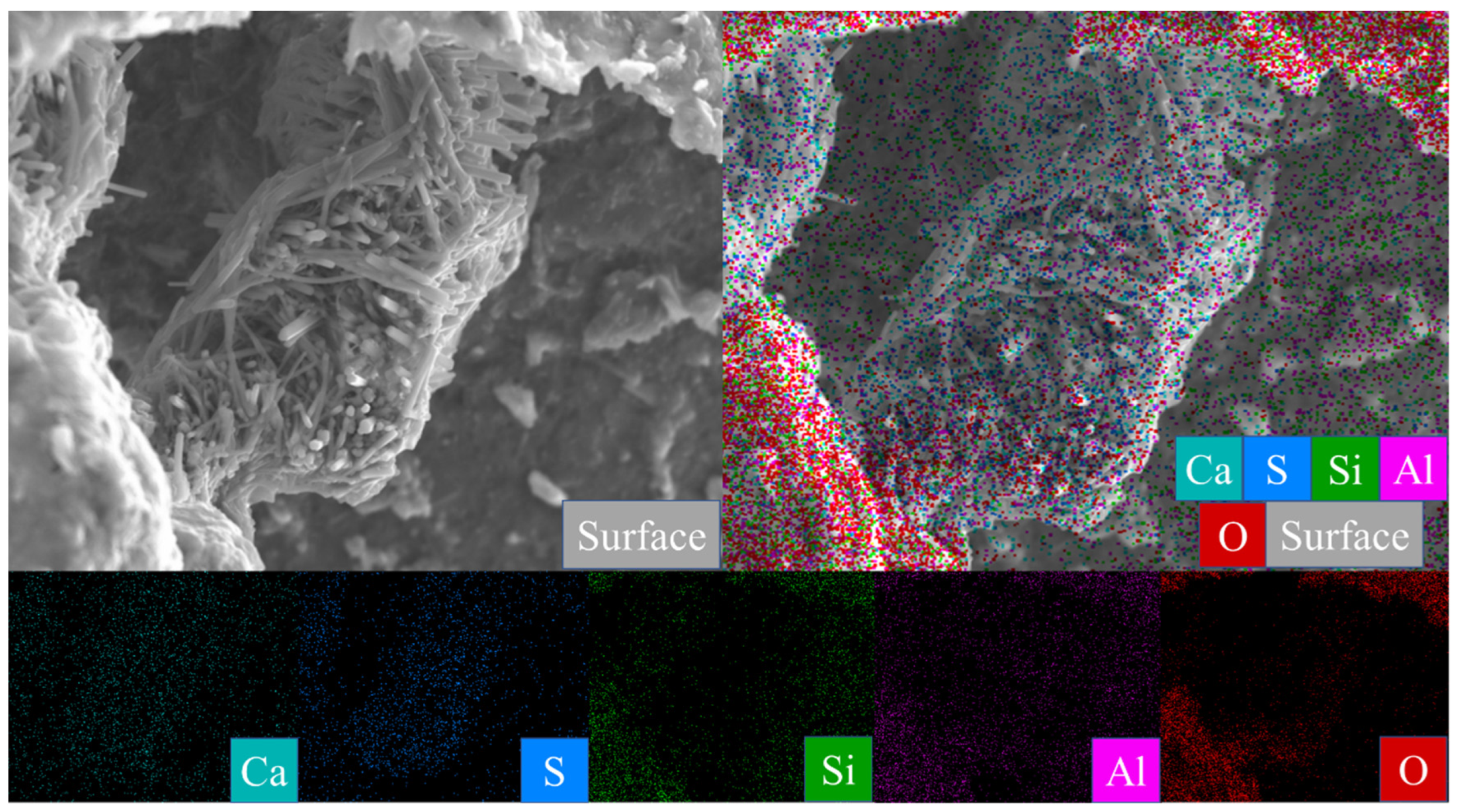 Gels 08 00564 g008 550