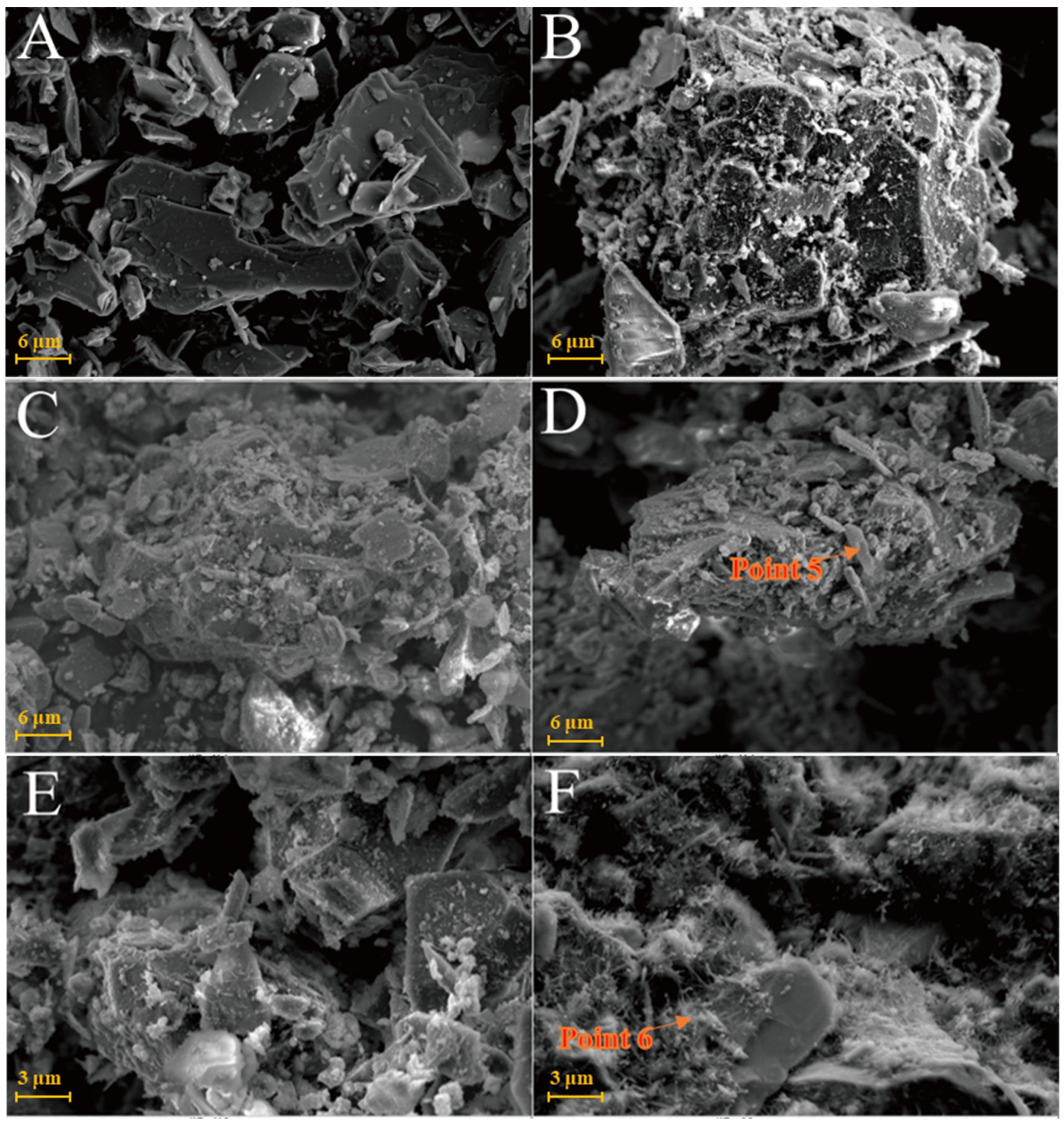 Gels 08 00564 g009 550