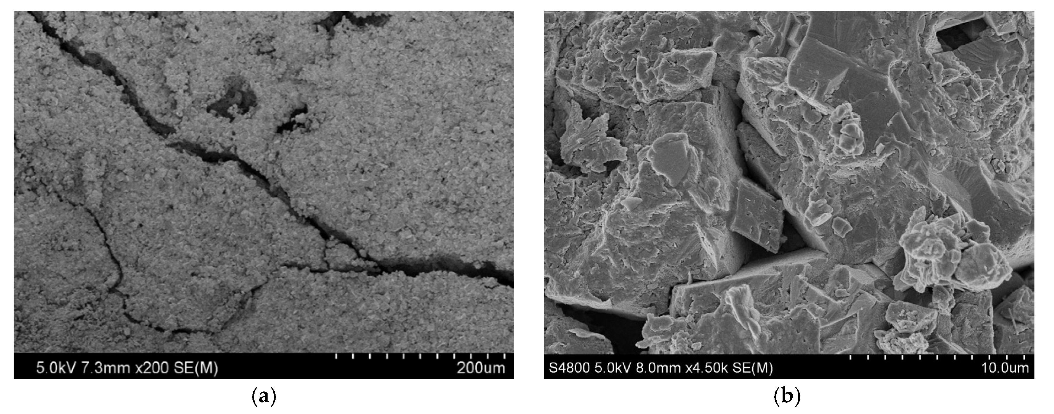 Gels 08 00565 g003a 550