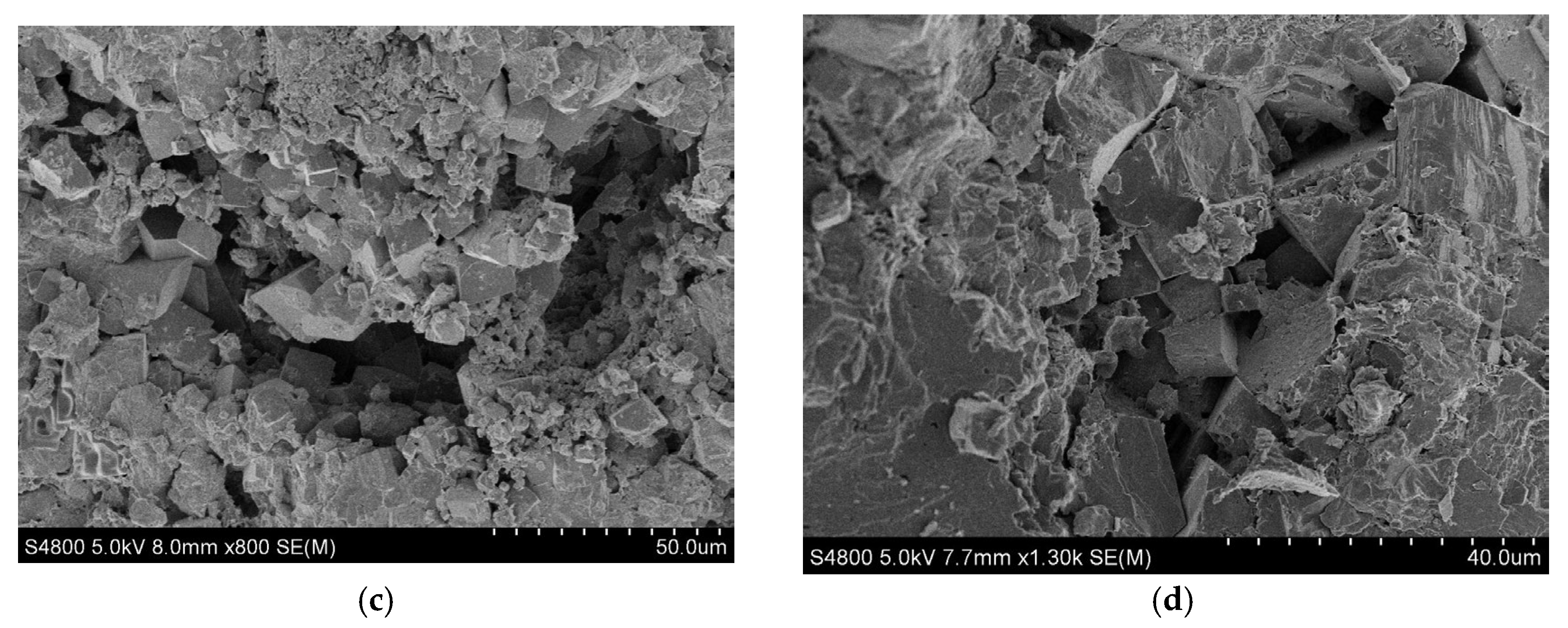 Gels 08 00565 g003b 550