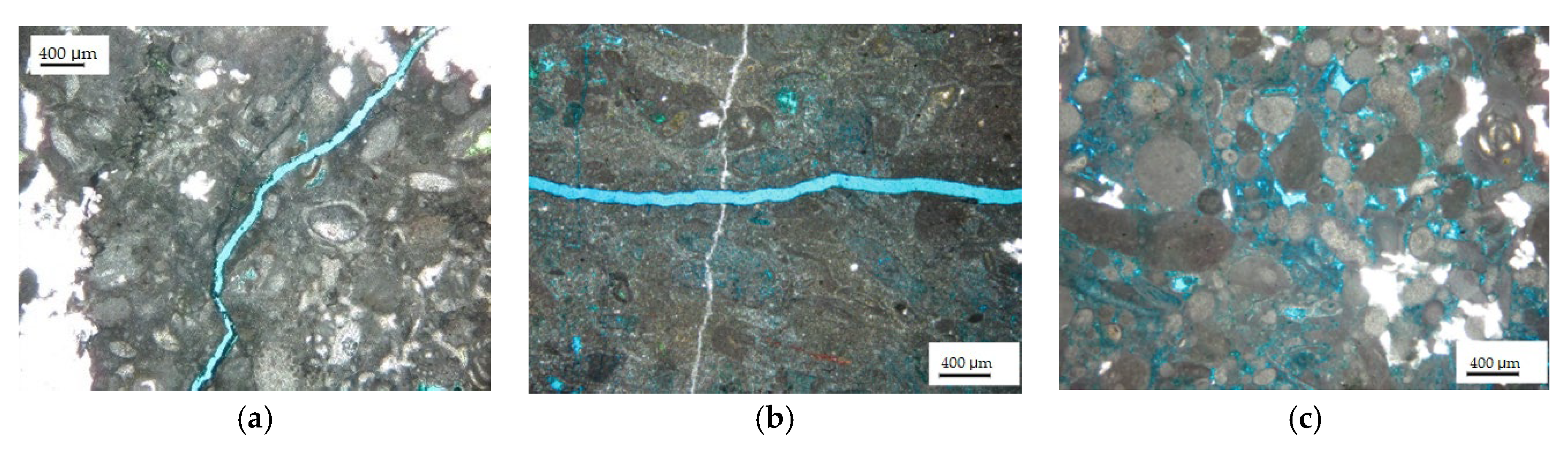 Gels 08 00565 g004 550