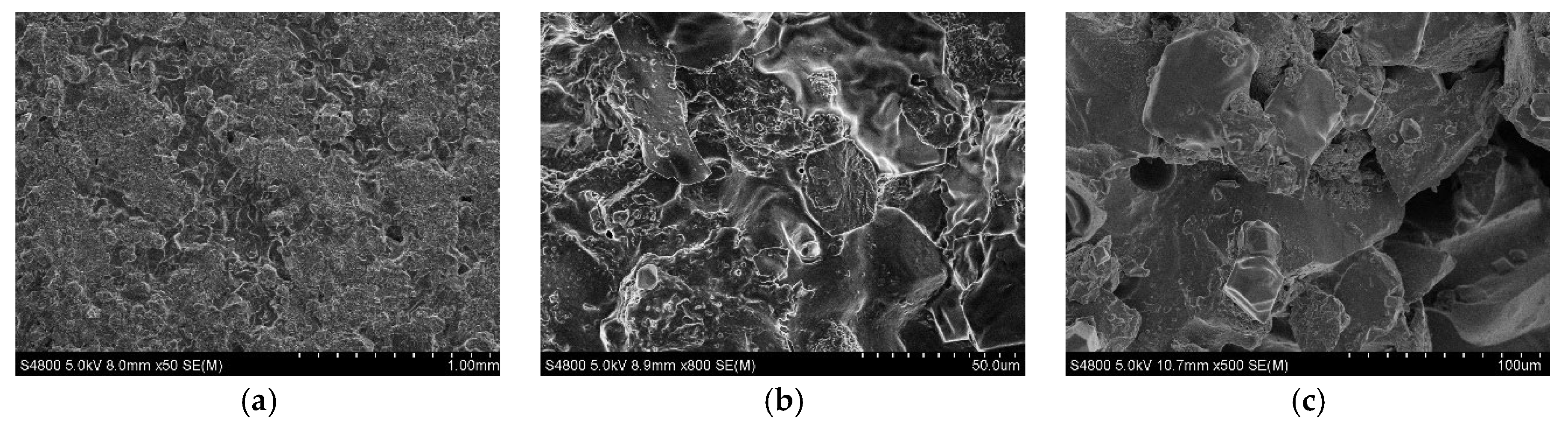 Gels 08 00565 g006 550