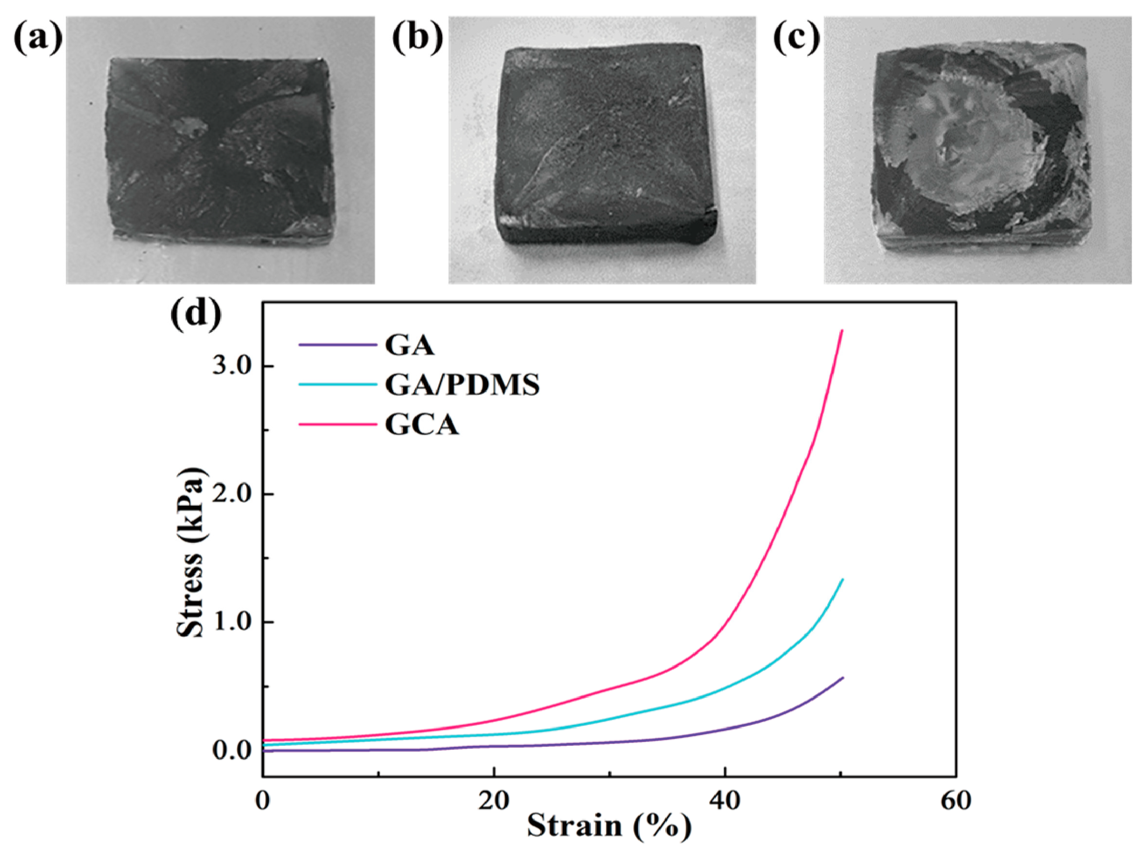 Gels 08 00572 g003 550