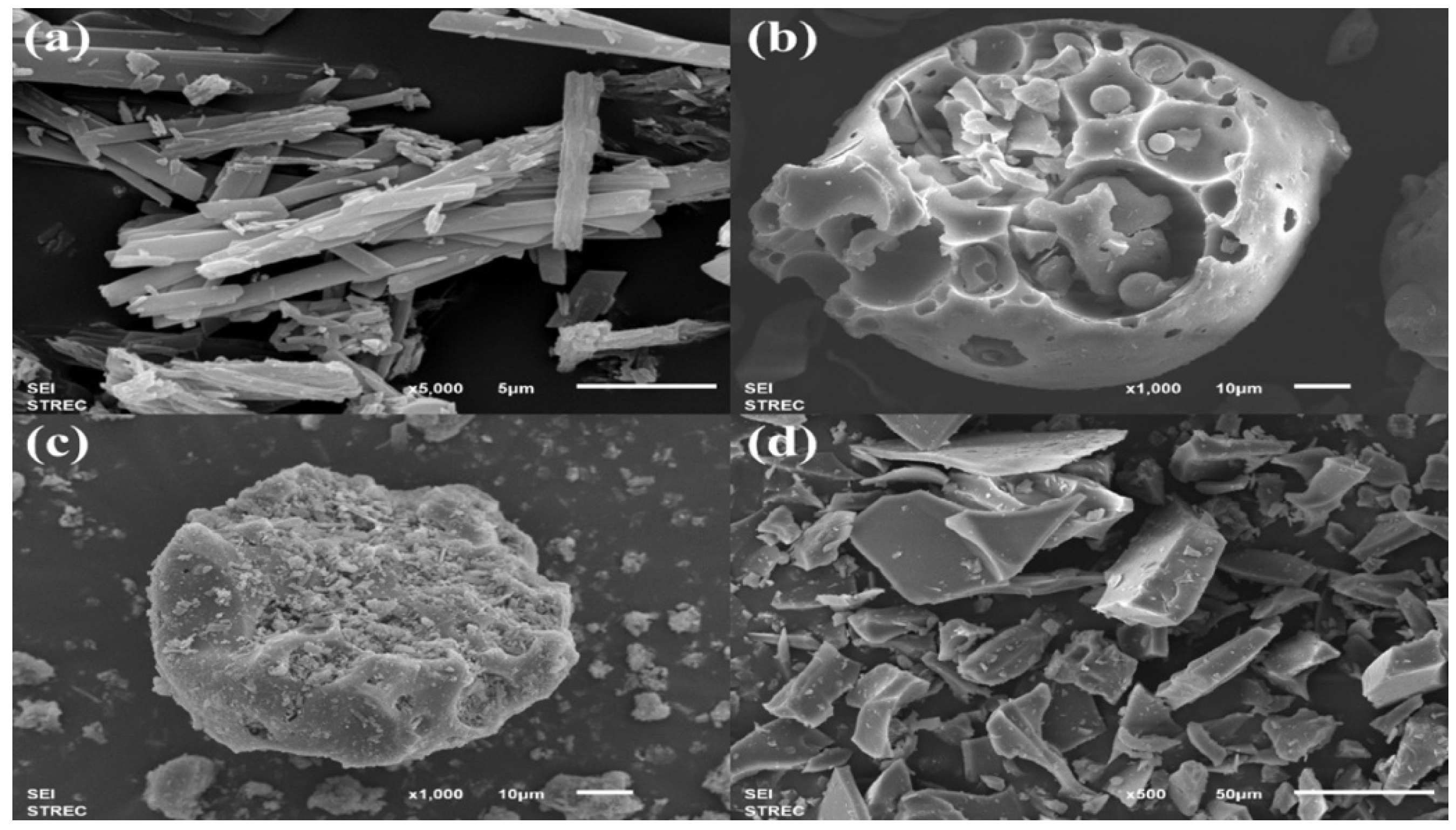 Gels 08 00573 g003 550