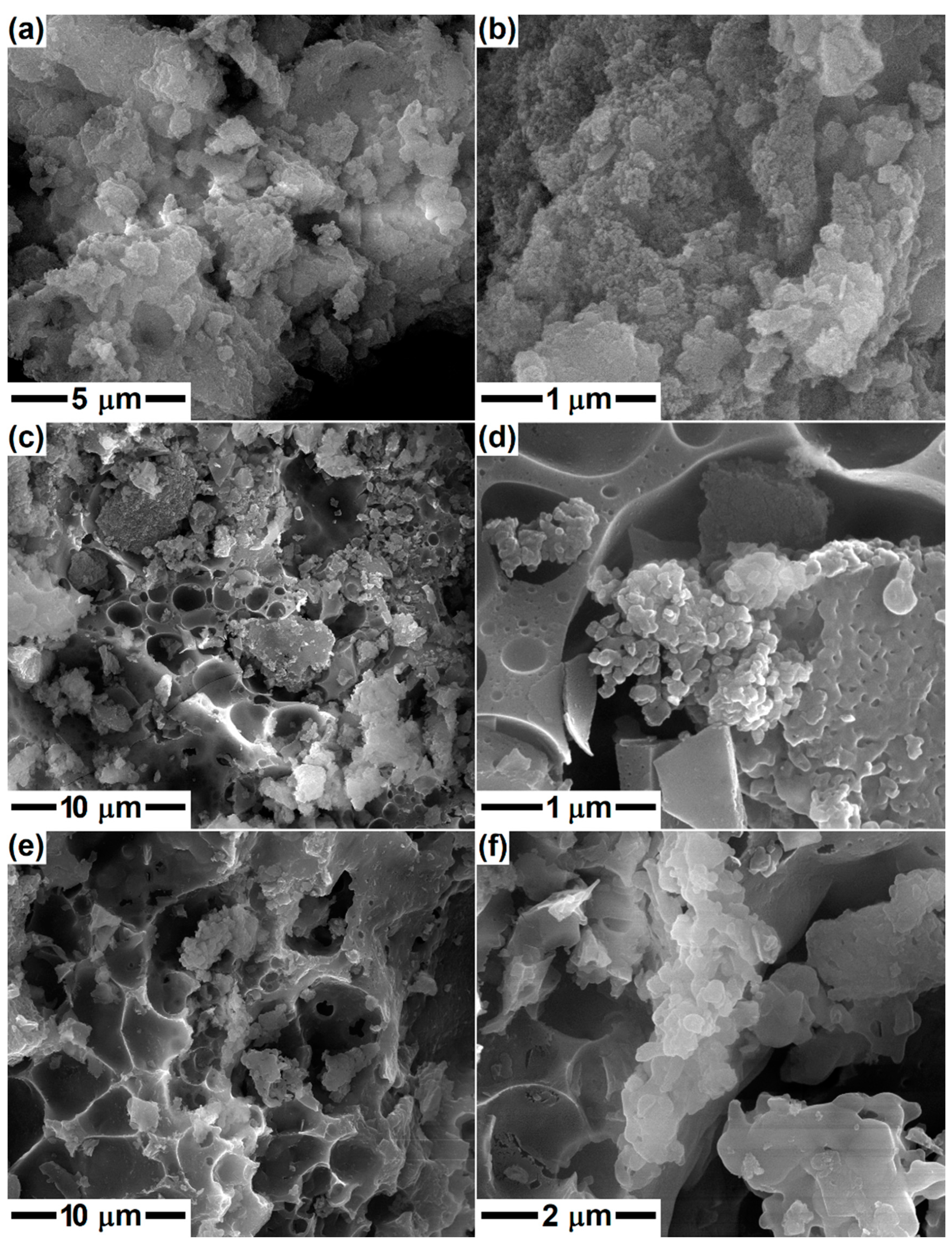 Gels 08 00574 g003 550