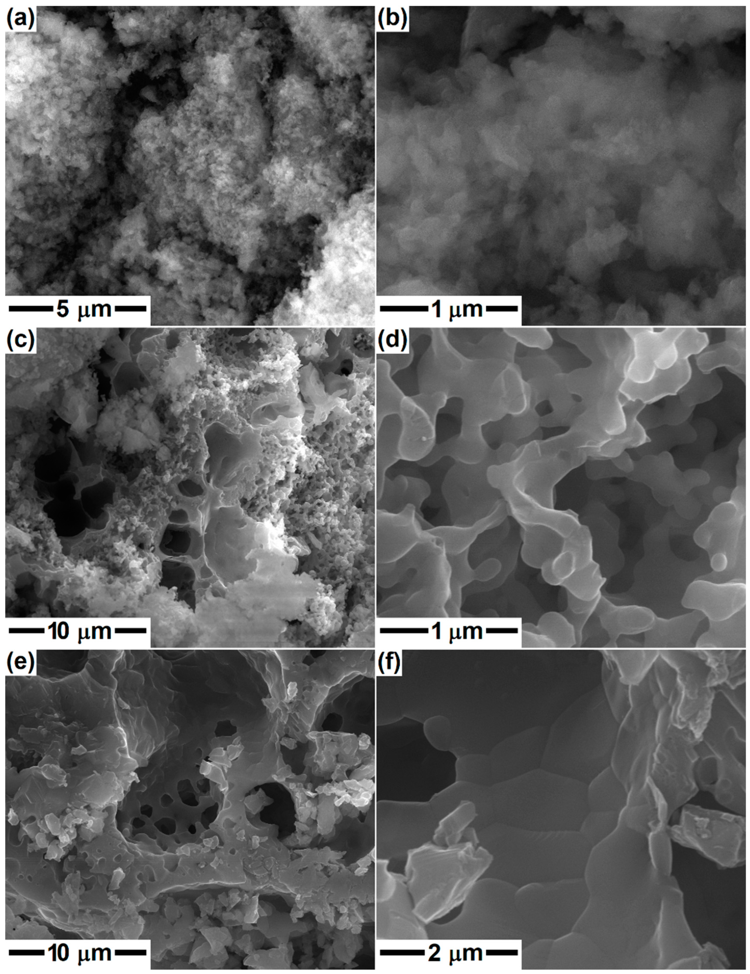 Gels 08 00574 g005 550