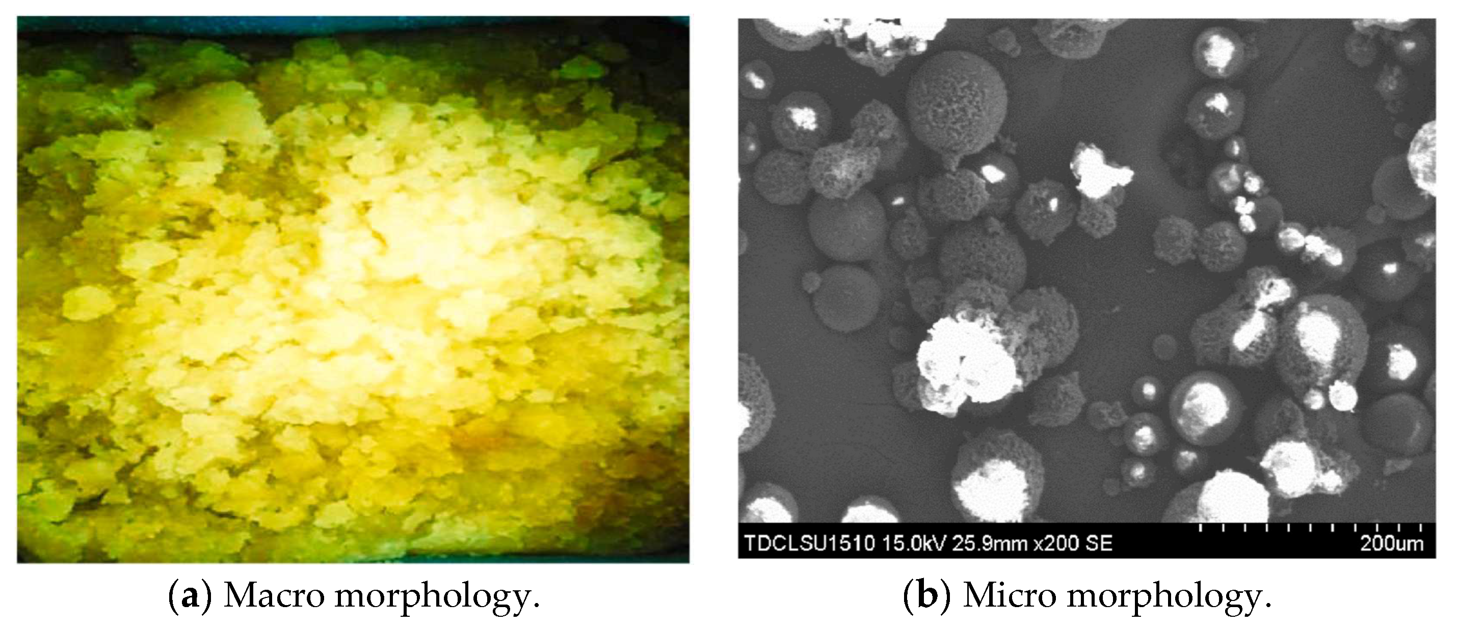 Gels 08 00575 g015 550