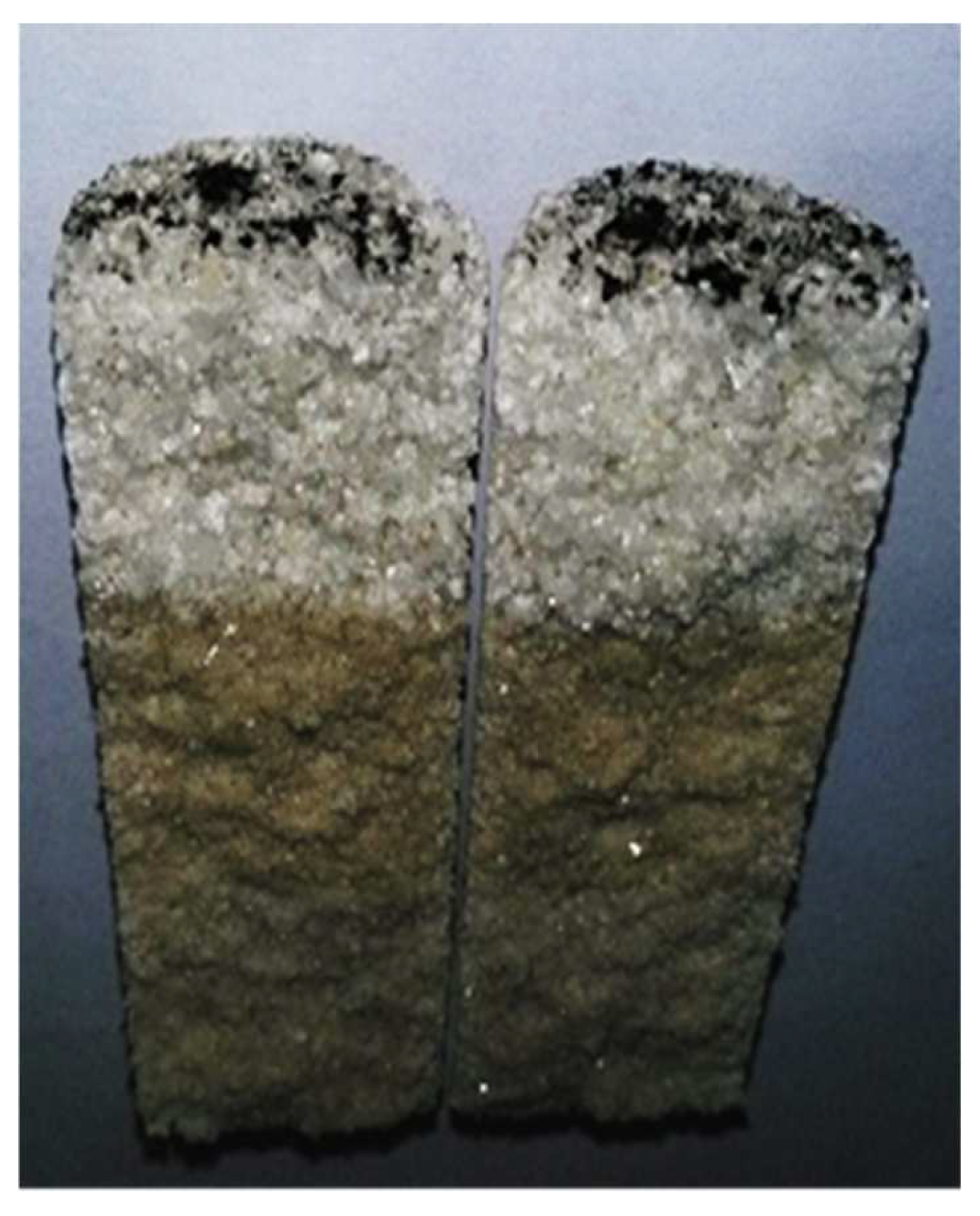 Gels 08 00575 g018 550