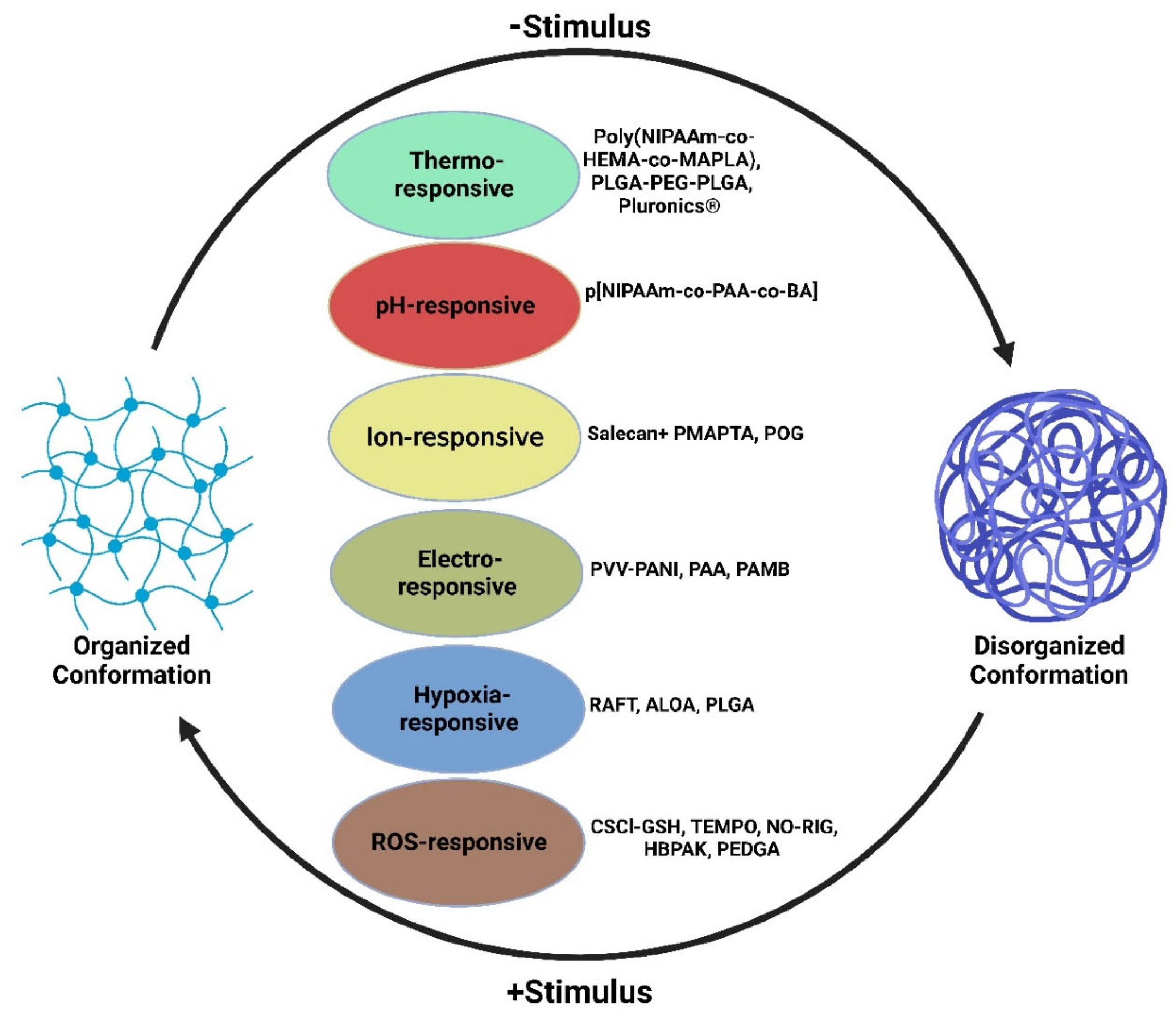 Gels 08 00576 g001 550