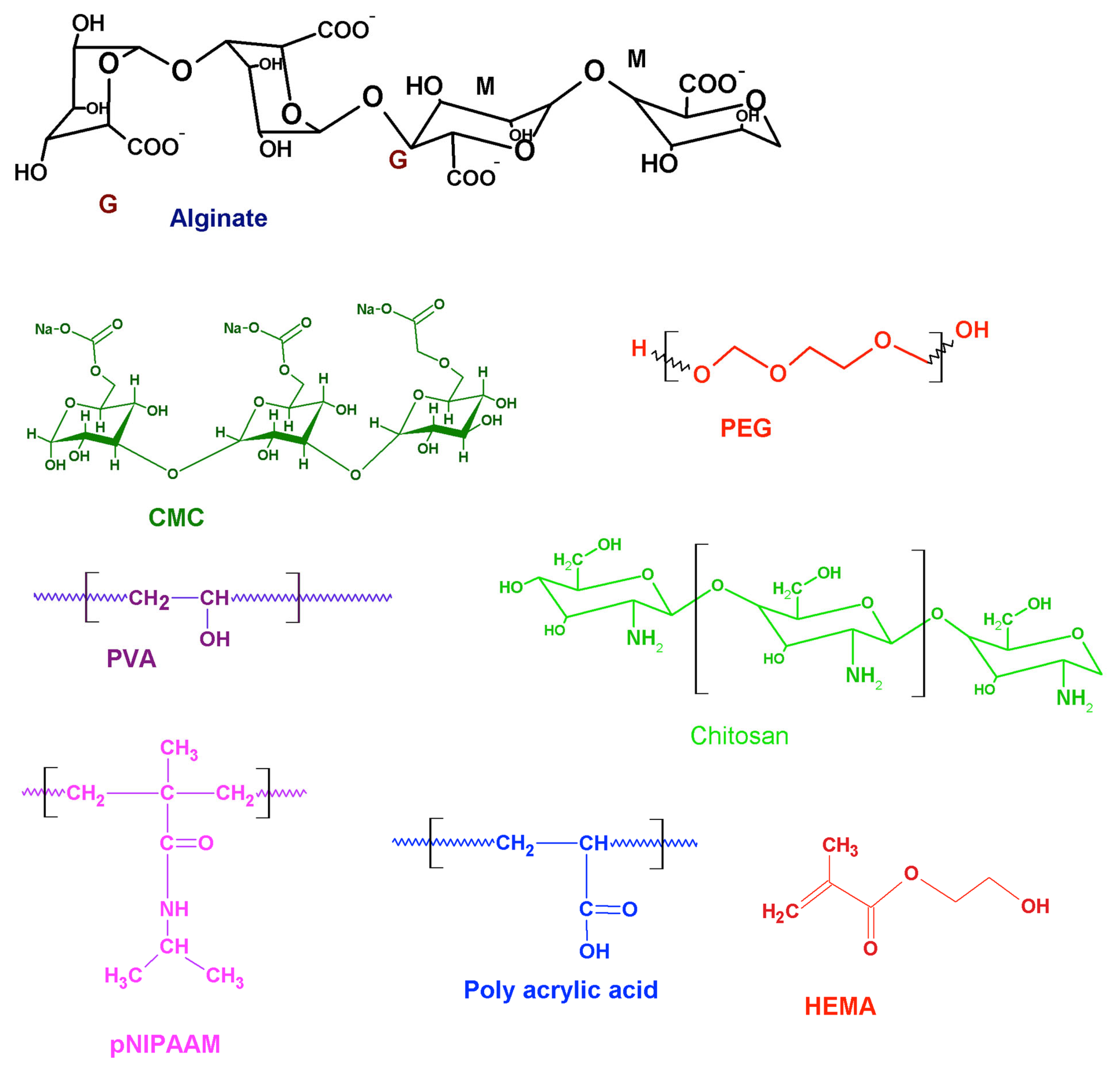 Gels 08 00576 g002 550