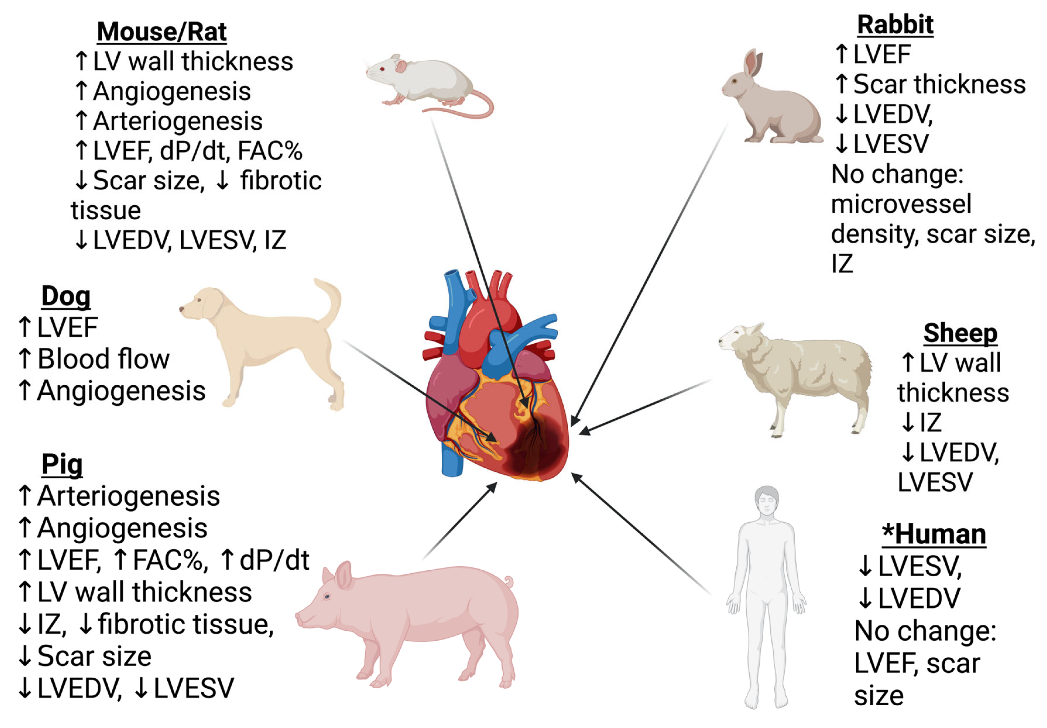 Gels 08 00576 g003 550