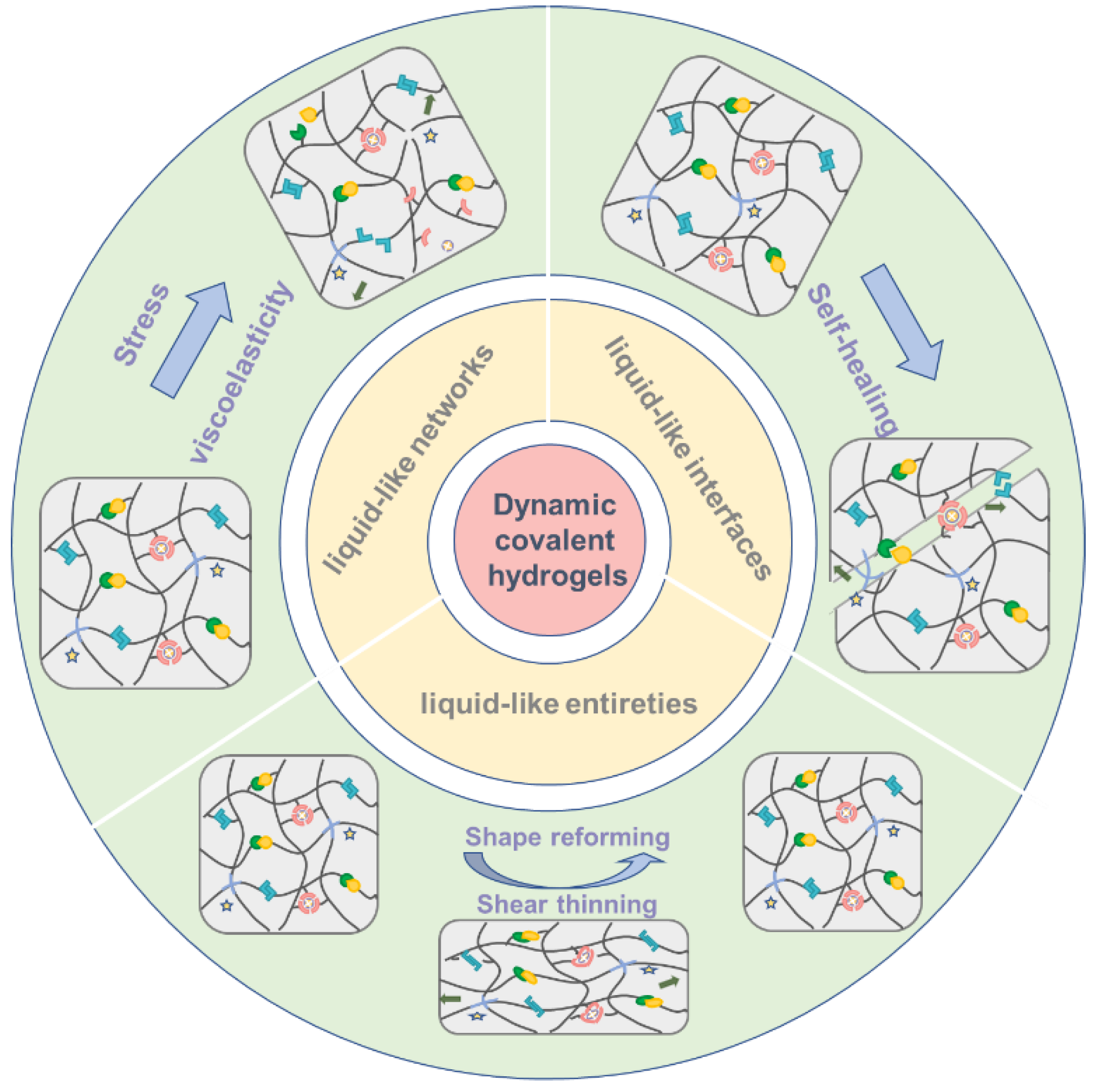 Gels Free Full Text Dynamic Covalent Hydrogels Strong Yet Dynamic gels-free-full-text-dynamic-covalent-hydrogels-strong-yet-dynamic