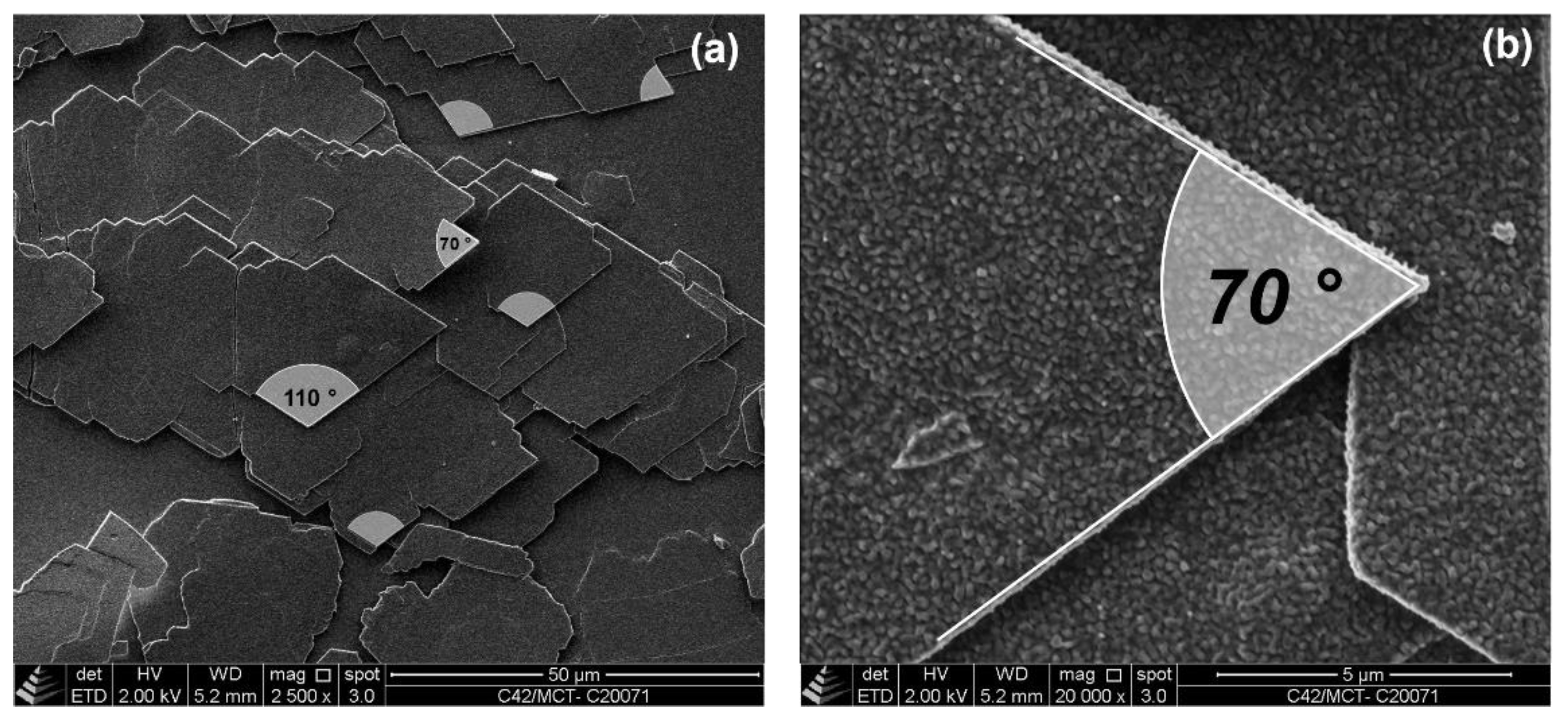 Gels 08 00579 g004 550