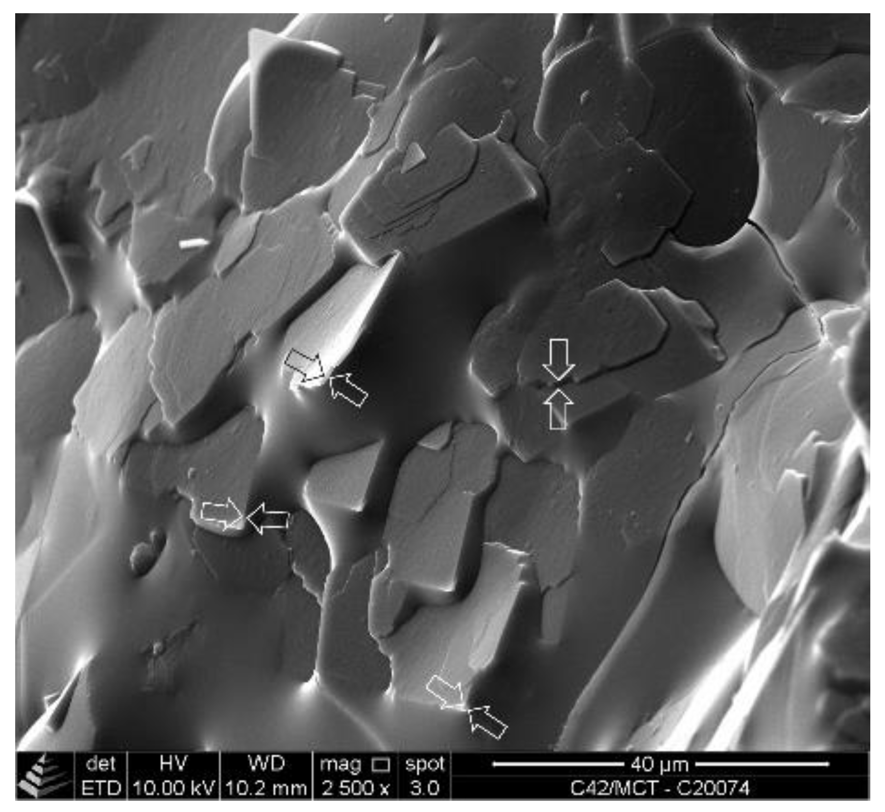 Gels 08 00579 g005 550