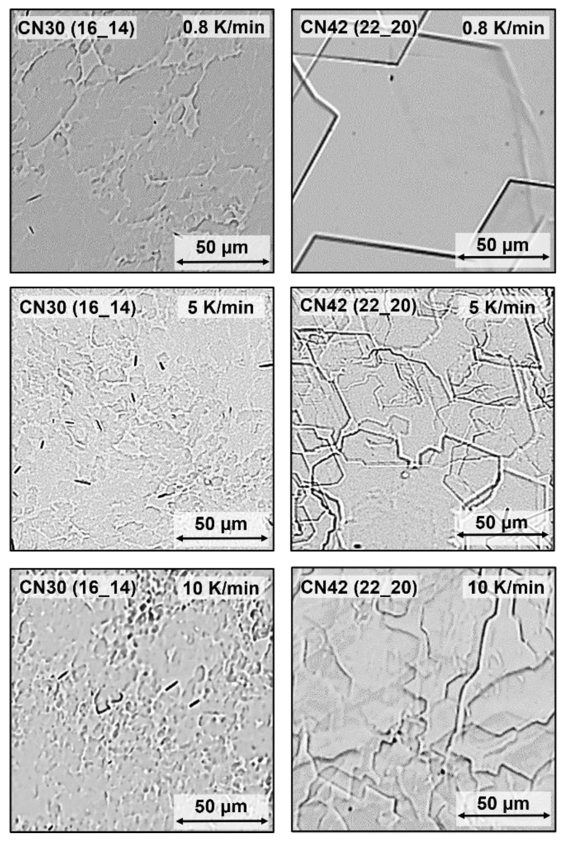 Gels 08 00579 g010 550