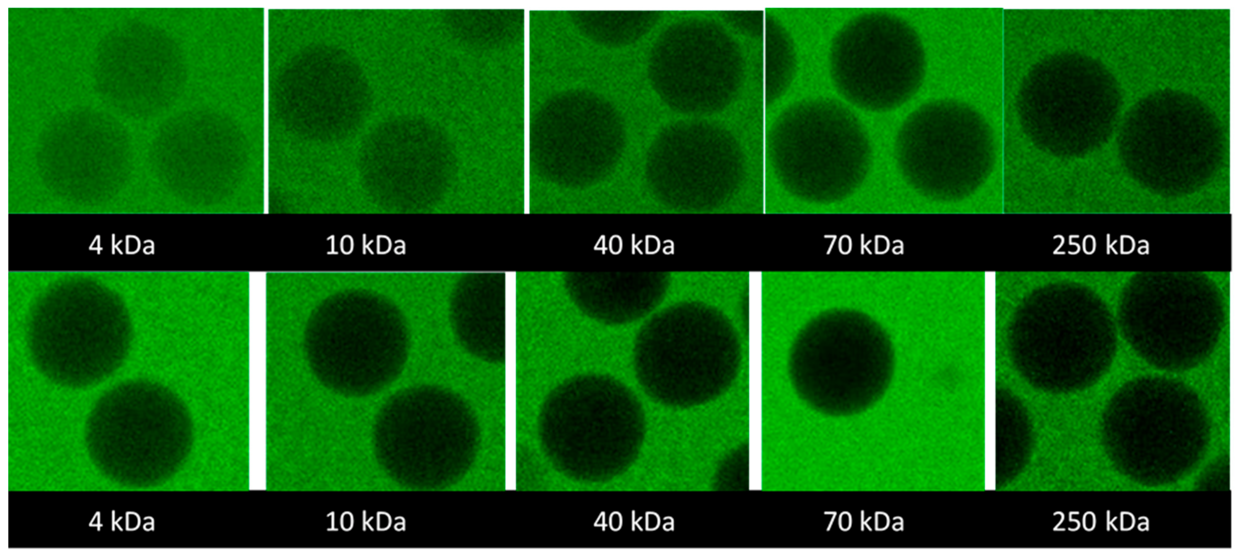 Gels 08 00588 g003 550