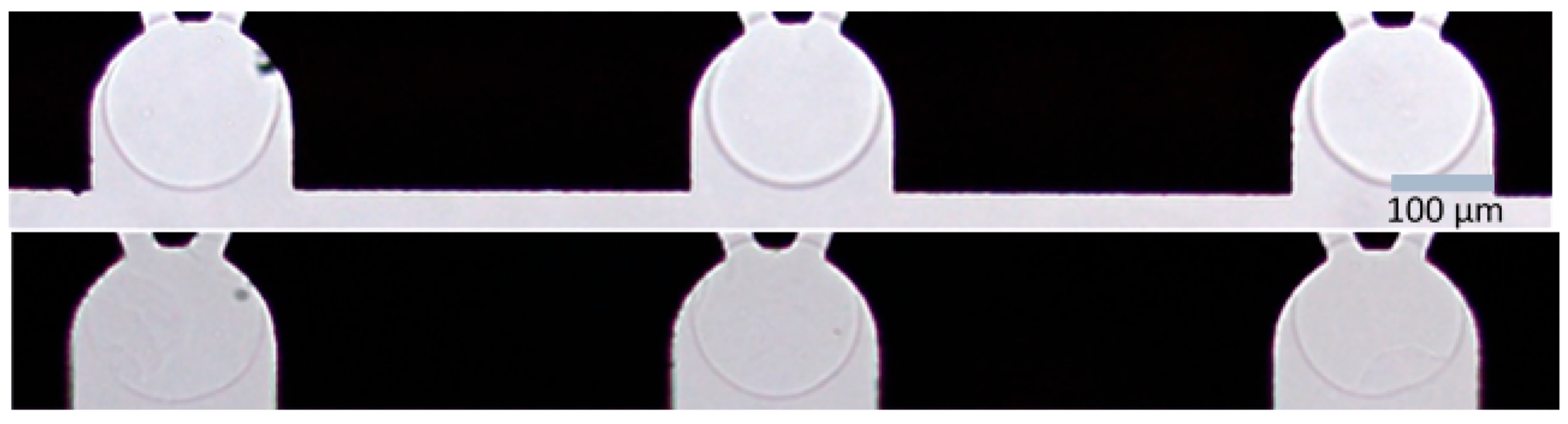 Gels 08 00588 g006 550