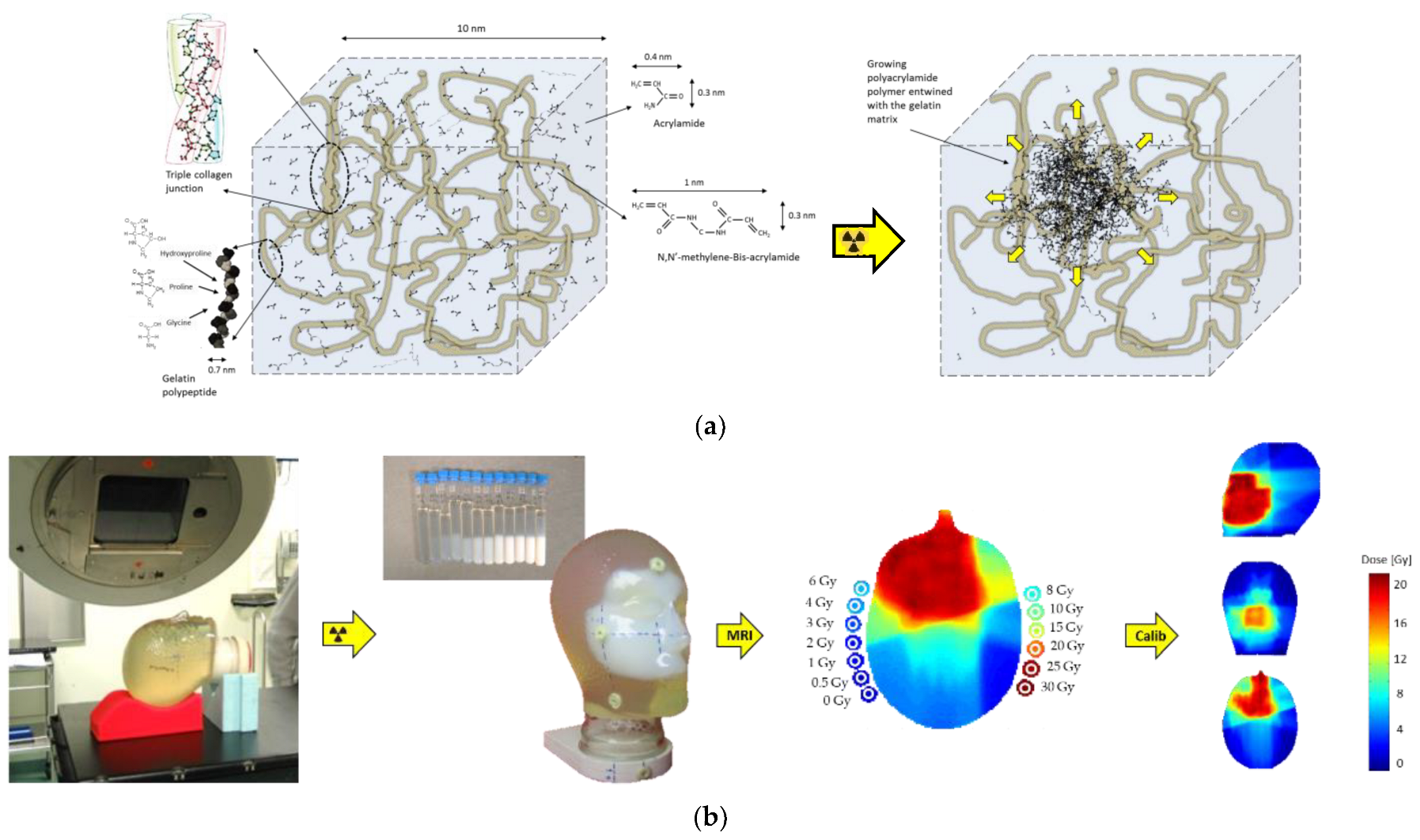 Gels 08 00599 g003 Gels 08 00599 g003