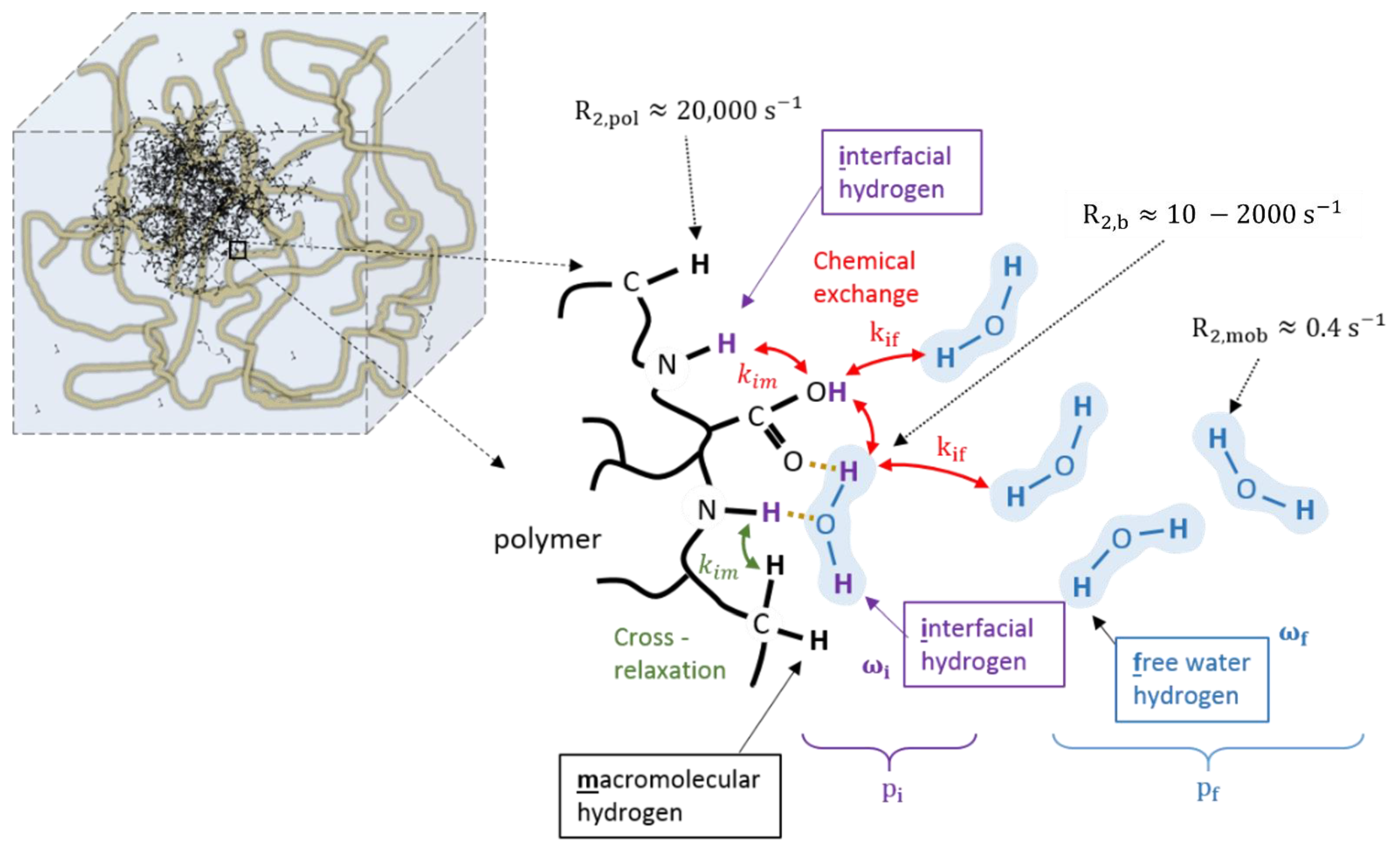 Gels 08 00599 g005 Gels 08 00599 g005