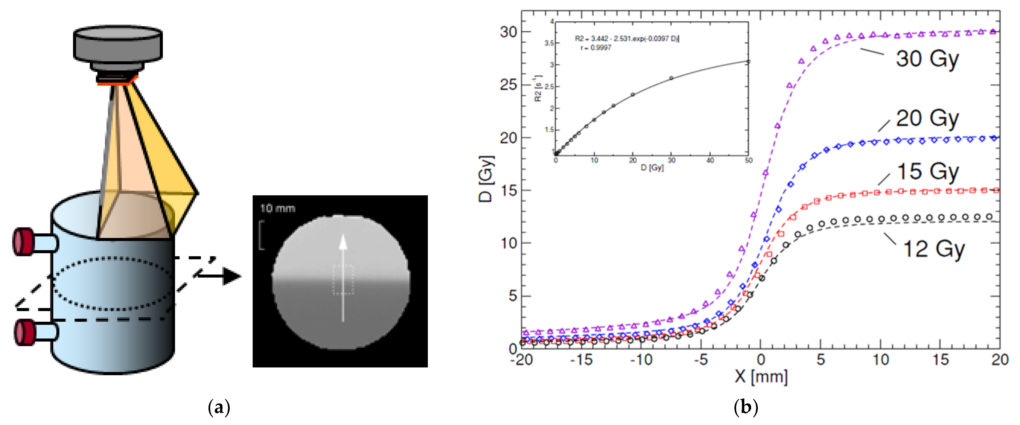 Gels 08 00599 g007 Gels 08 00599 g007