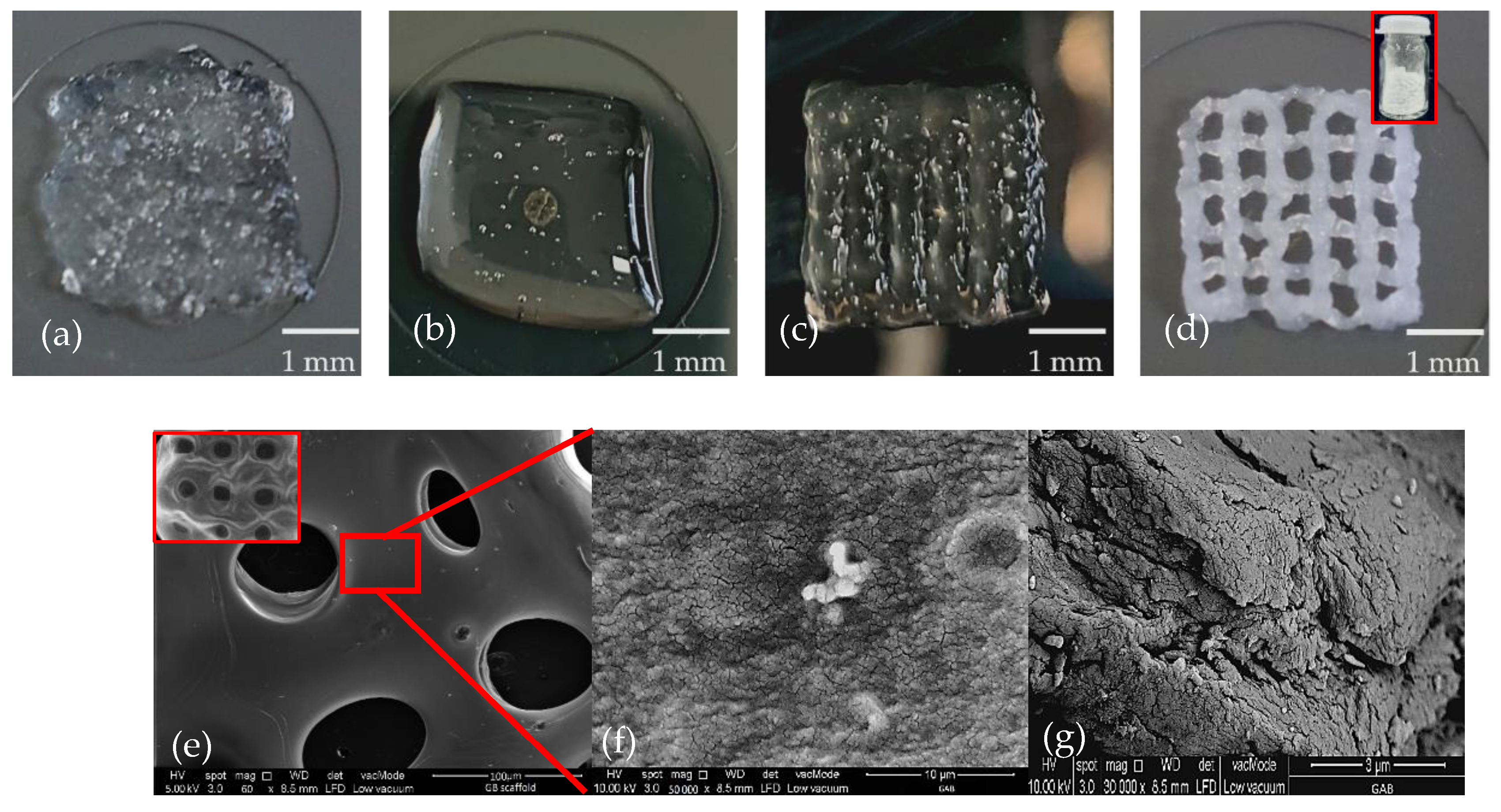 Gels 08 00603 g001a Gels 08 00603 g001a