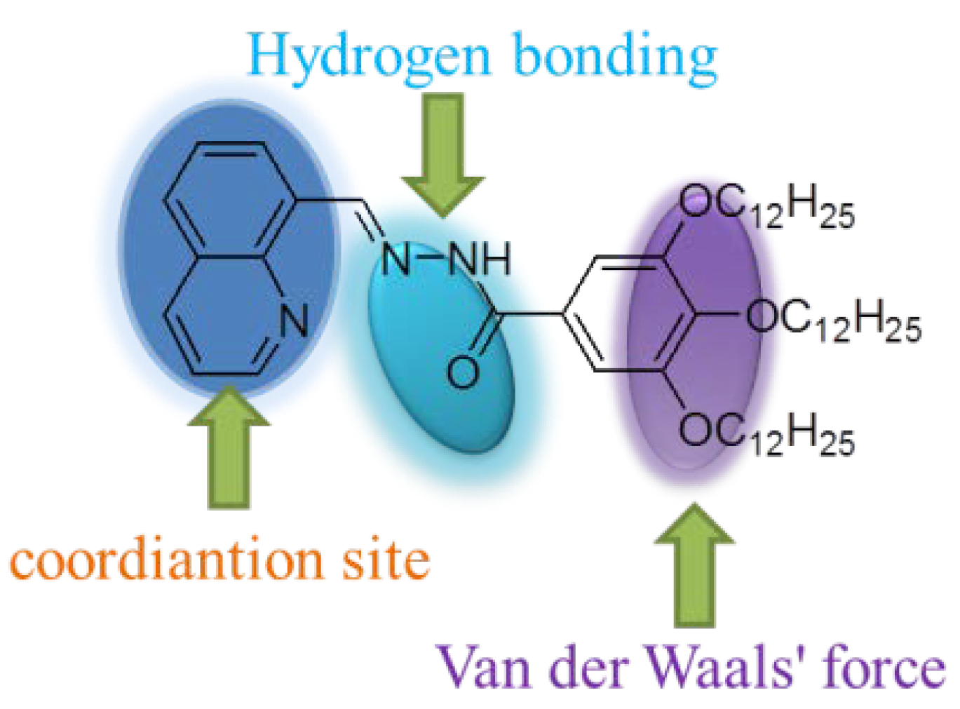 Gels 08 00605 sch001