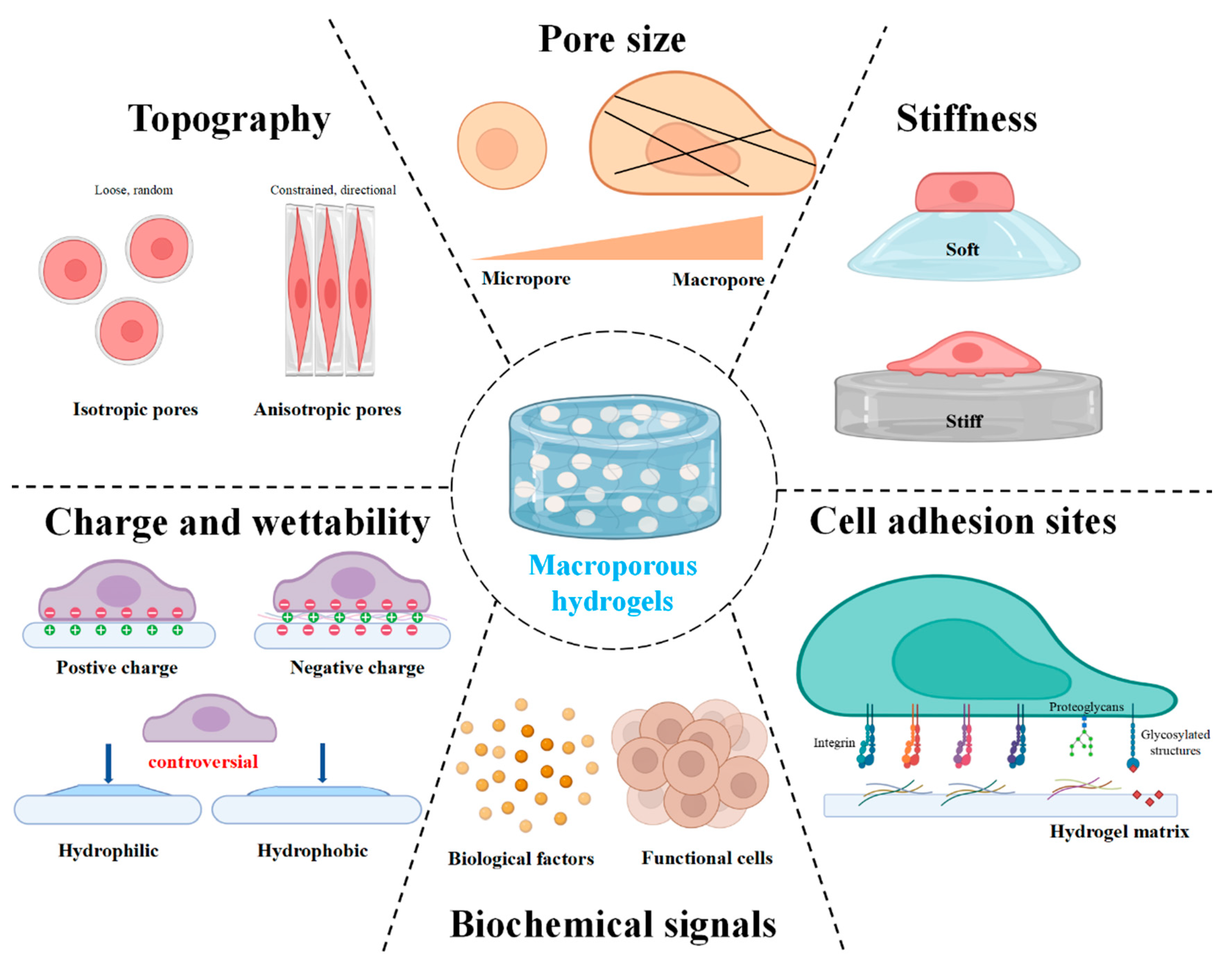 Gels 08 00606 g001 Gels 08 00606 g001