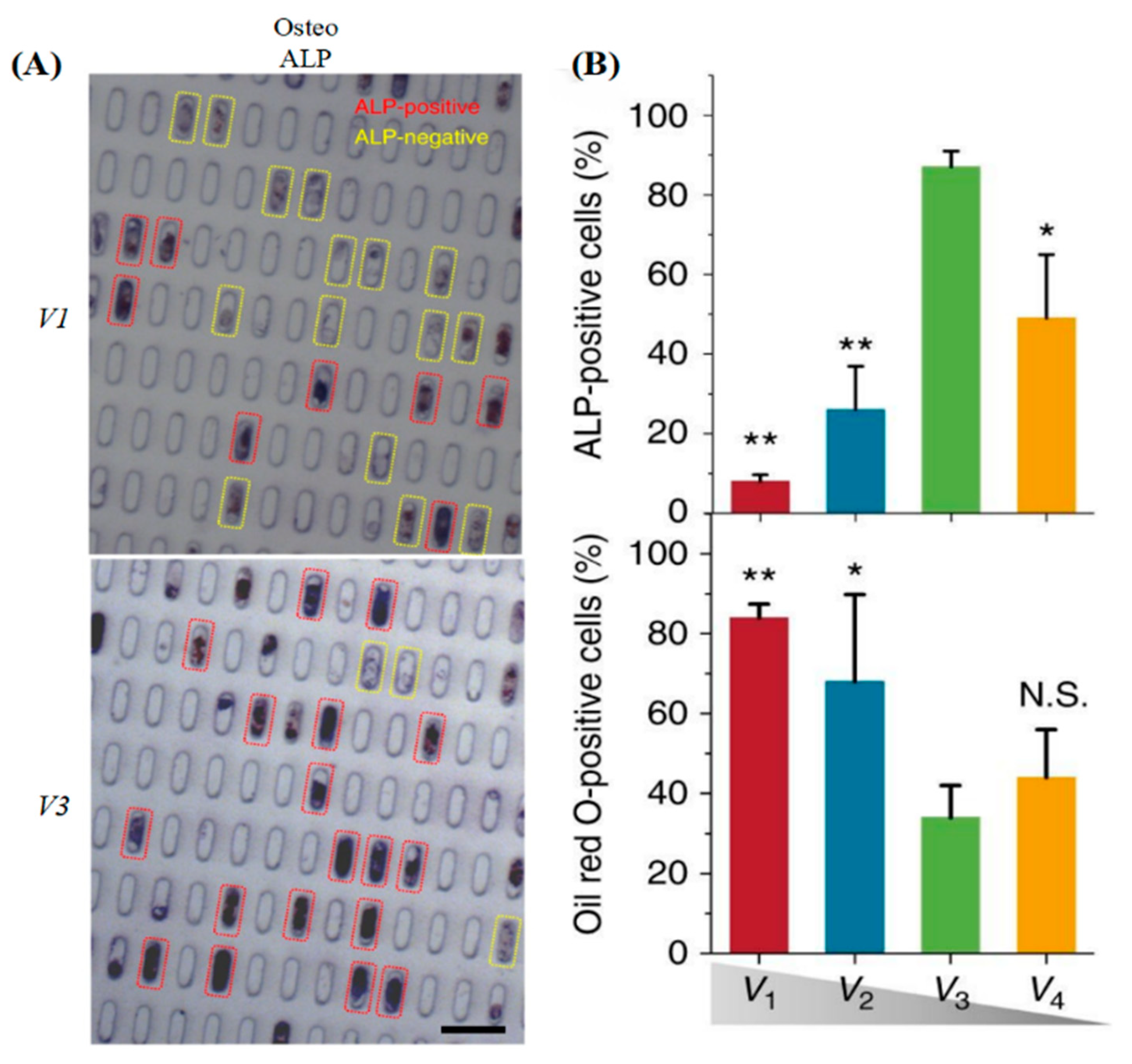 Gels 08 00606 g004 Gels 08 00606 g004