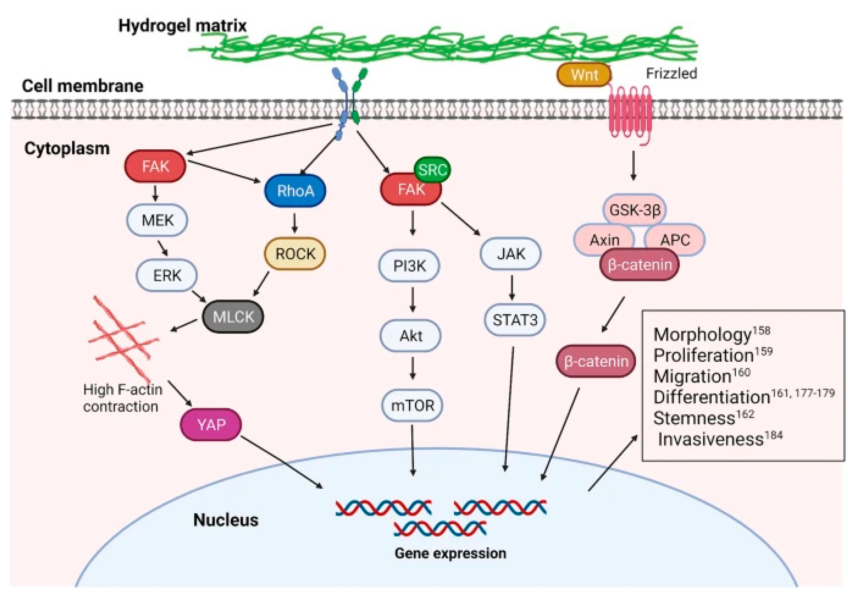 Gels 08 00606 g006 Gels 08 00606 g006