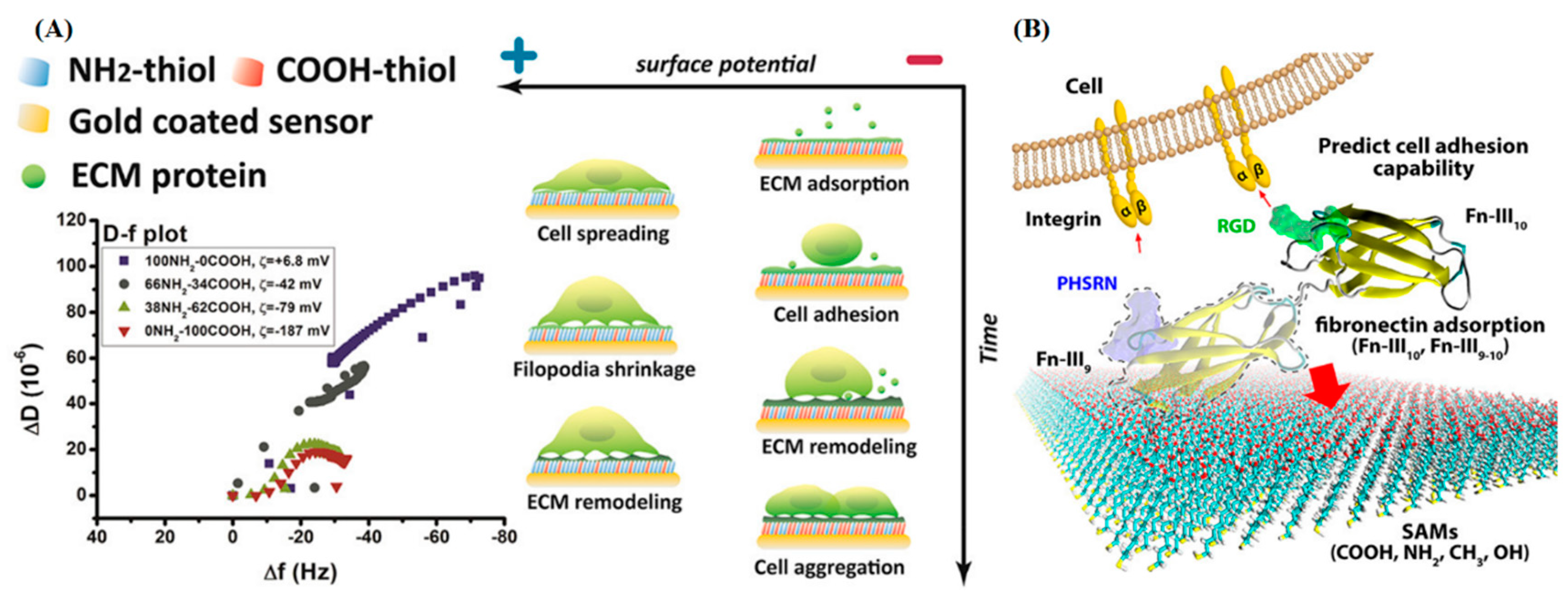 Gels 08 00606 g007 Gels 08 00606 g007