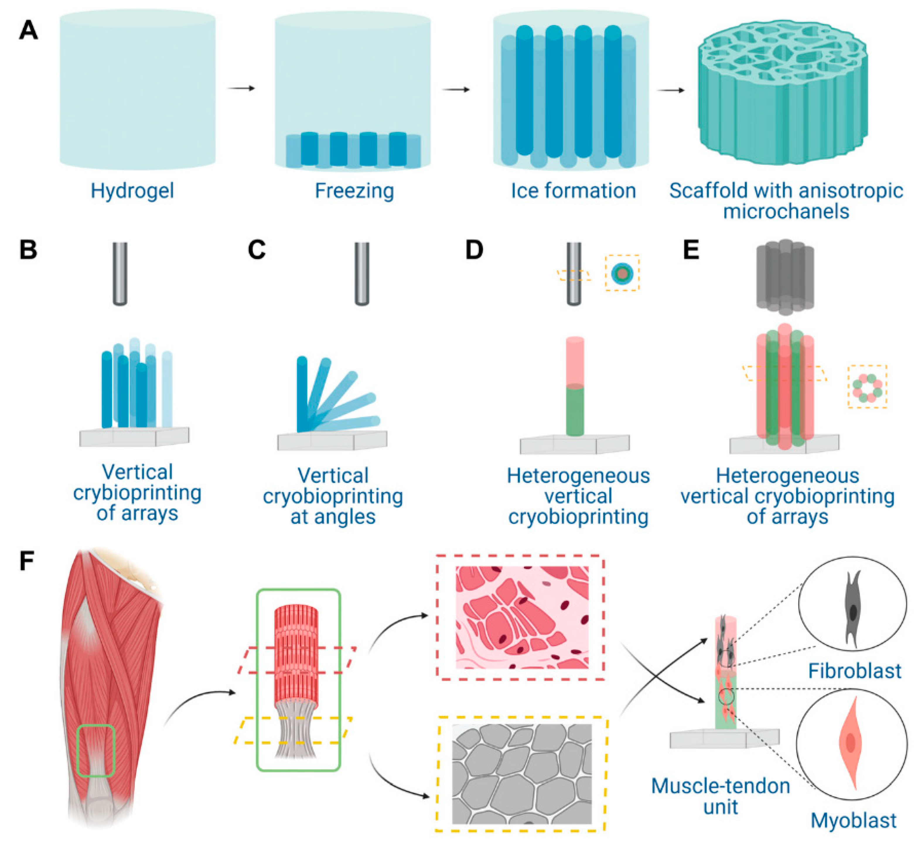Gels 08 00606 g008 Gels 08 00606 g008