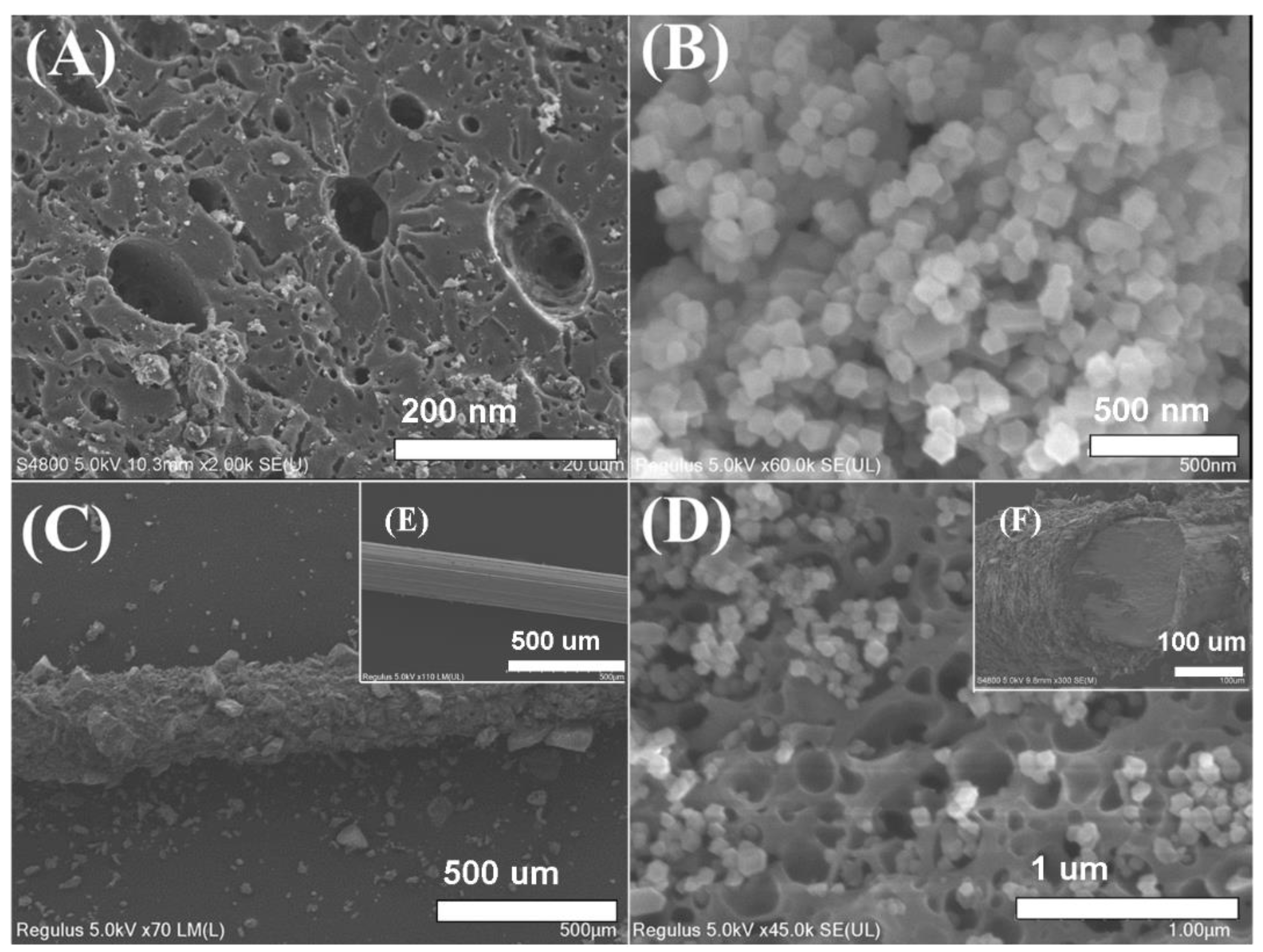Gels 08 00610 g001 550